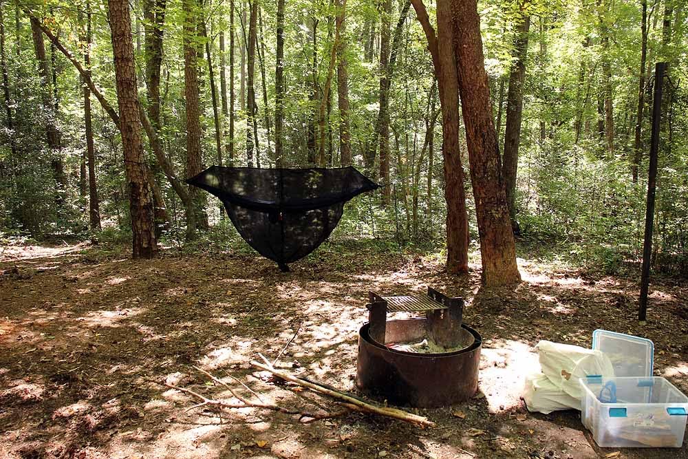 Wise Owl Outfitters Hammock Bug Net - Mosquito Net for Hammock customer photo 2