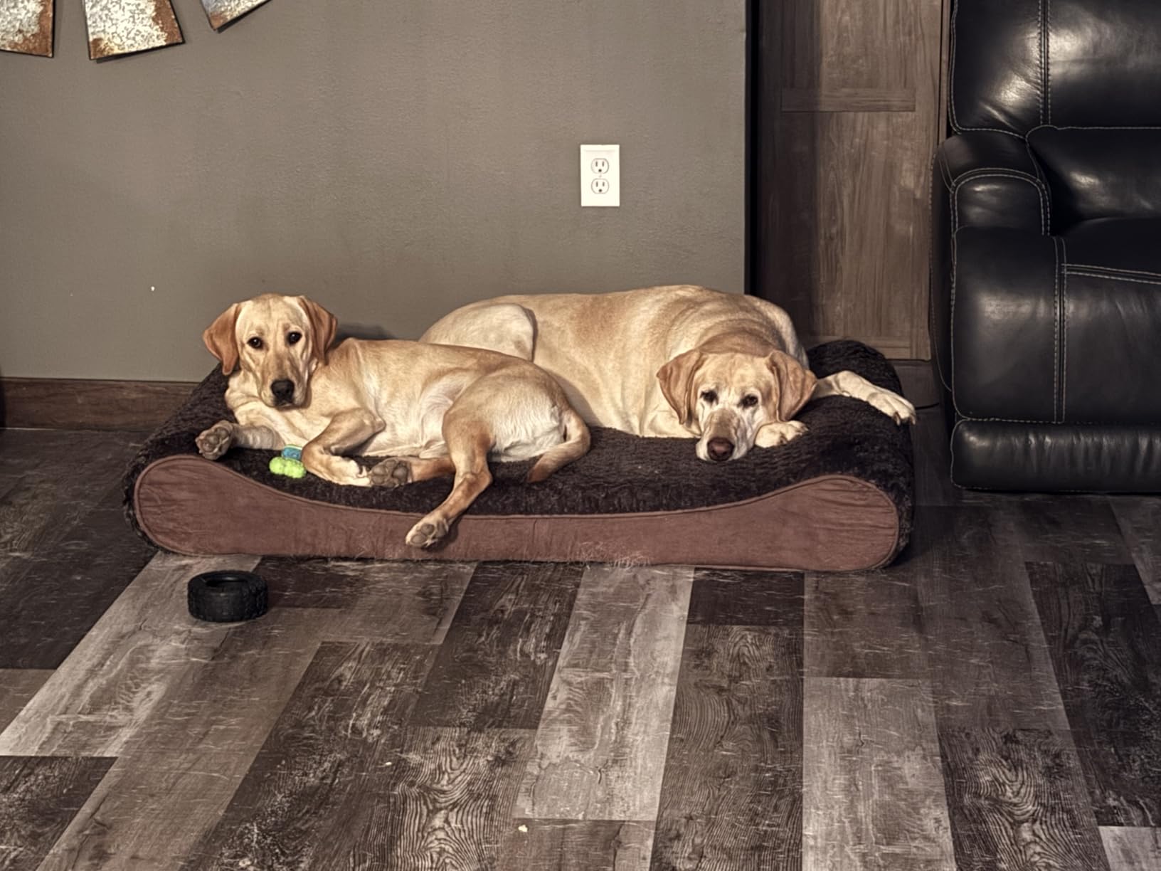 FurHaven Orthopedic Dog Bed for Large Dogs, Luxe Lounger Contour Mattress with Solid Orthopedic Foam Slab for Joint Support, Removable Washable Cover, Jumbo XL, Plush Suede, Gray customer photo 1