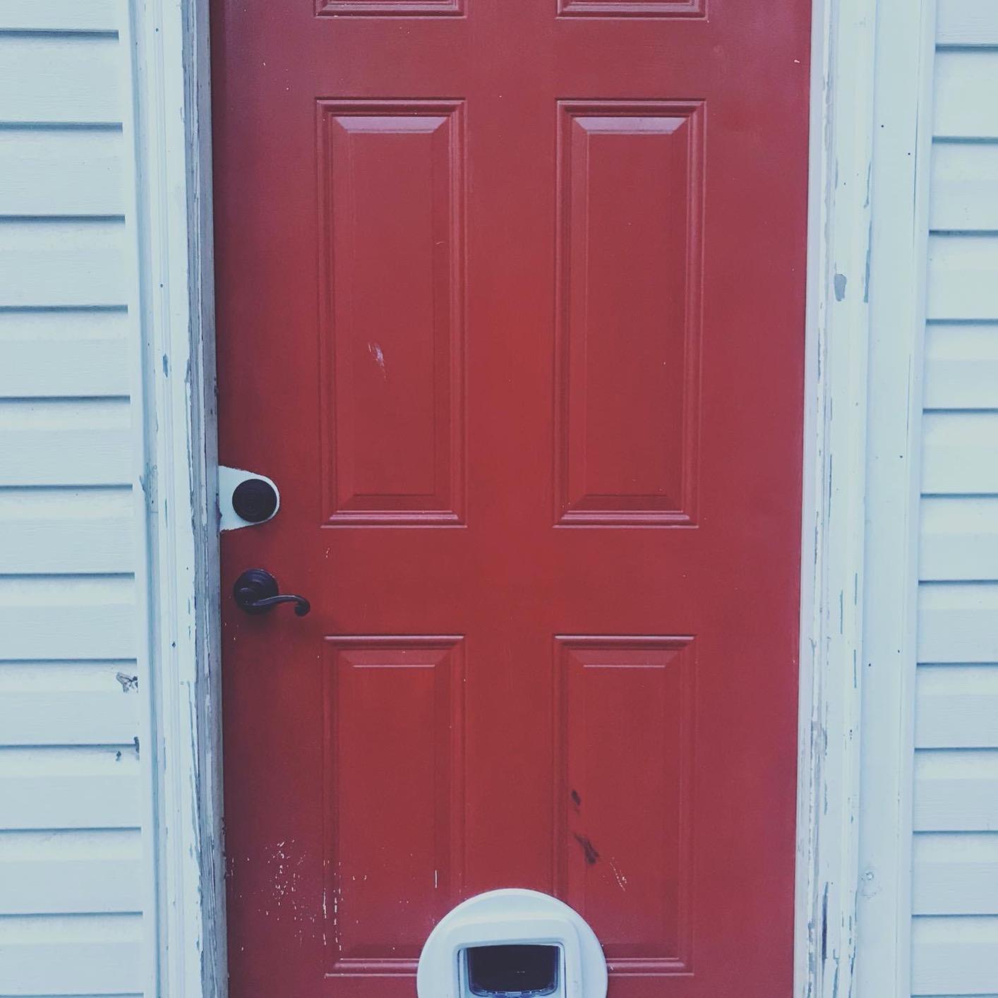 PetSafe Microchip Cat Door - Smart Programmable Collar Door with 4-Way Locking System customer photo 2