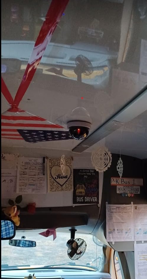 WALI Dummy Fake Security CCTV Dome Camera with Flashing Red LED Light with Security Alert Sticker Decals (SDW-2), 2 Packs, White customer photo 2