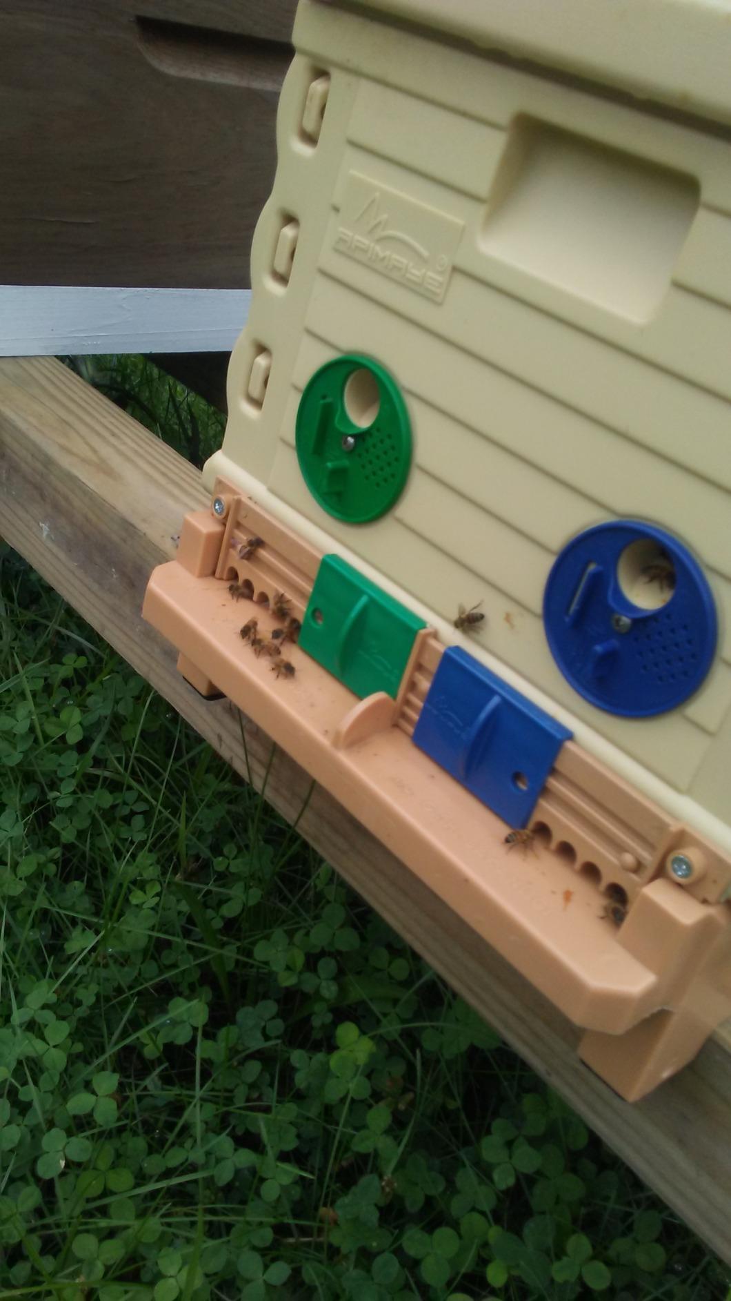 Apimaye Insulated 7 Frame Langstroth Nucleus Assembled Bee Hive Set with Core Frames and Foundations [Tan] customer photo 2