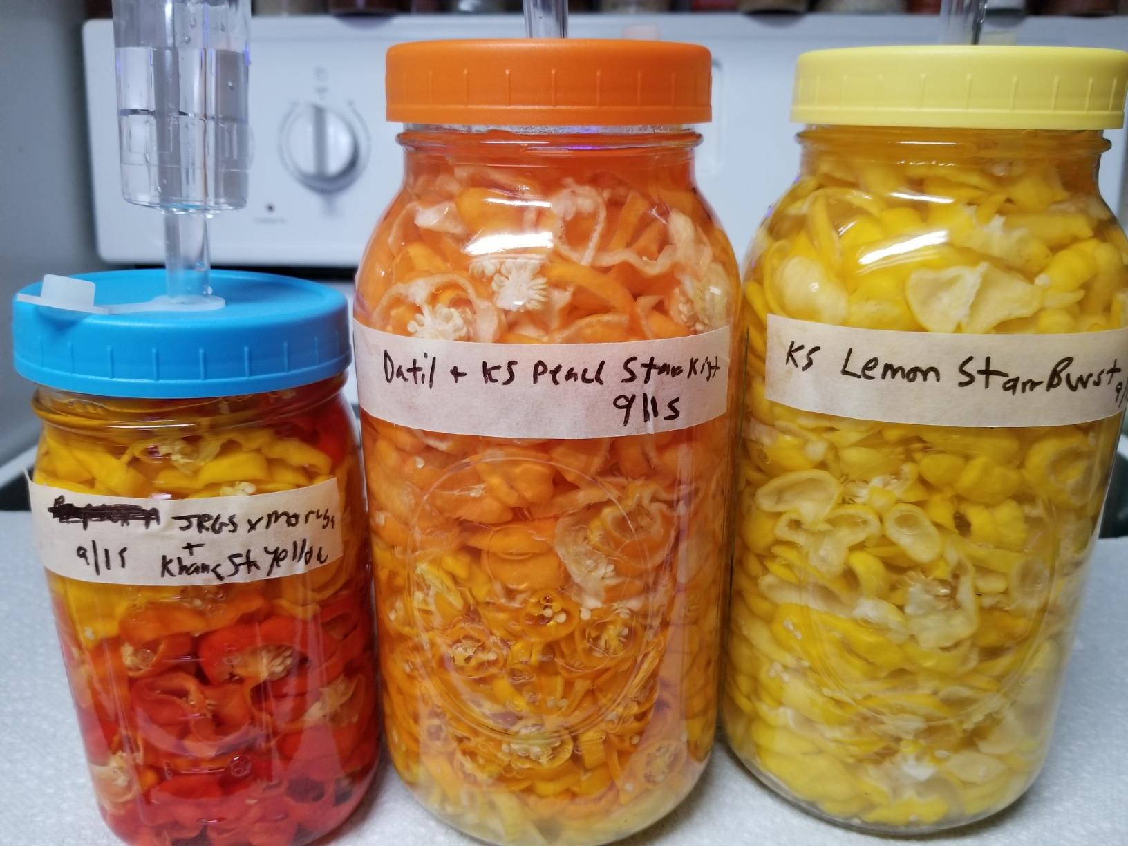 Jillmo Fermentation Lids for Wide Mouth Mason Jars, Stainless Steel Auto Venting Fermenting Lid Kit with Airlocks & Silicone Grommets customer photo 2