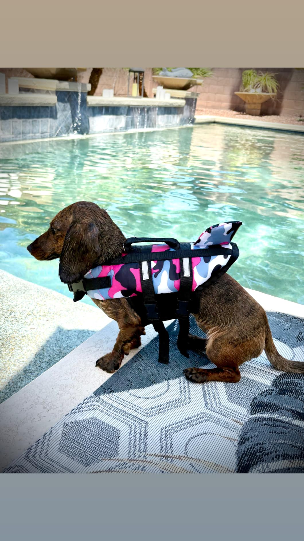 Queenmore Ripstop Dog Life Jacket Shark Life Vest for Dogs customer photo 2