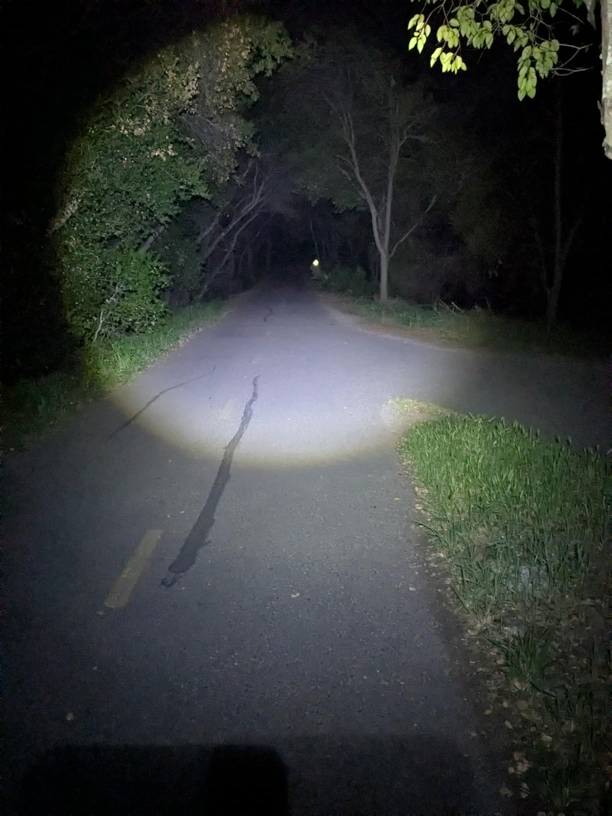 DanForce Headlamp USB Rechargeable LED Head Lamp, Ultra Bright LUMINUS 1080 Lumen Headlamp Flashlight + Red Light, Zoomable IPX54 customer photo 1