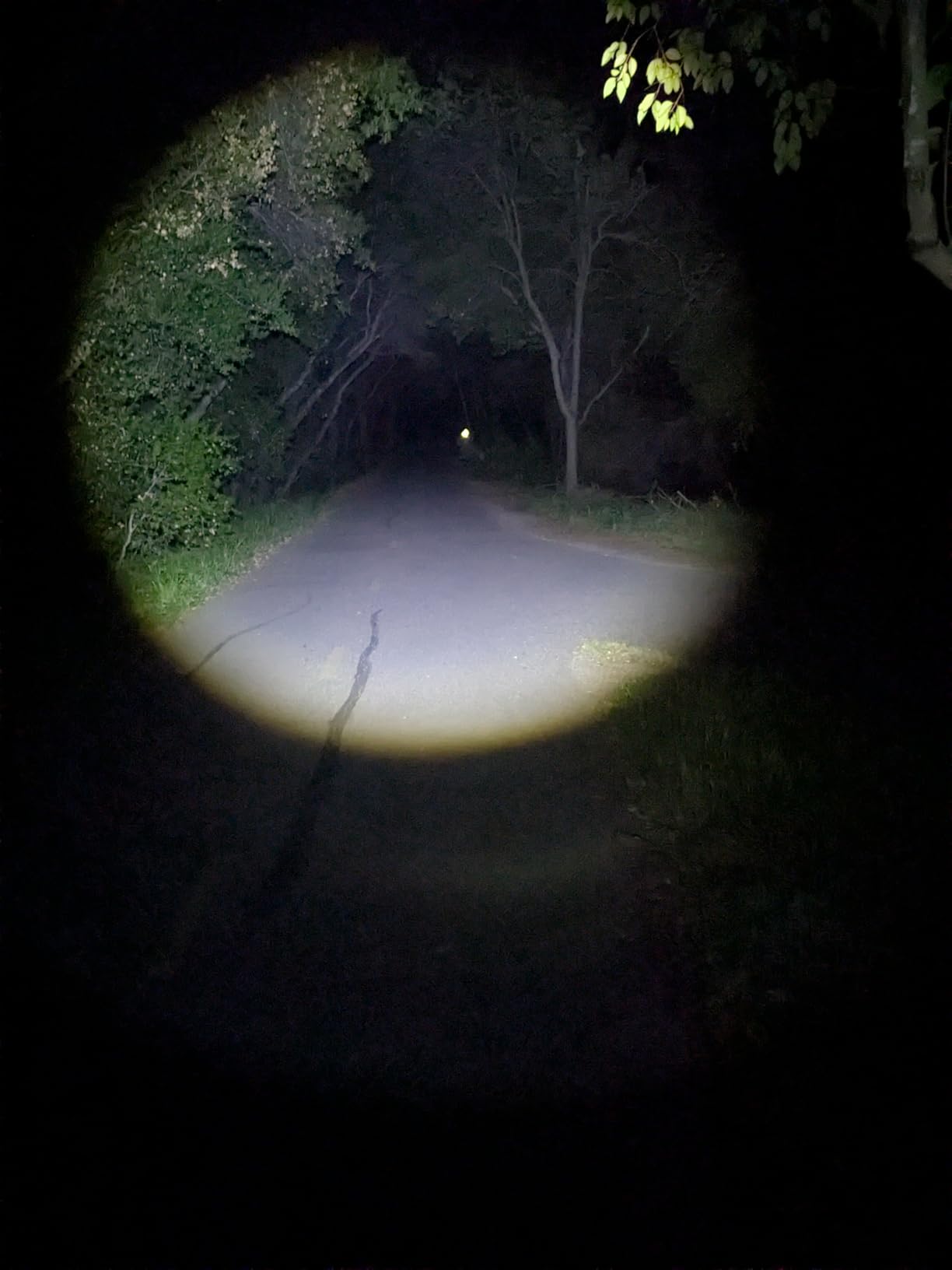 DanForce Headlamp USB Rechargeable LED Head Lamp, Ultra Bright LUMINUS 1080 Lumen Headlamp Flashlight + Red Light, Zoomable IPX54 customer photo 2
