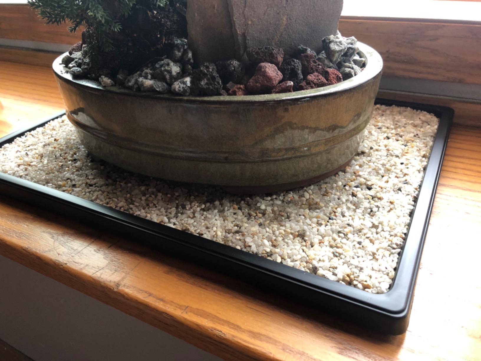 Tinyroots Bonsai Humidity Tray, Maintains Moisture for Plants and Helps Protect Furniture, Bonsai Tray for Cactus, Succulents, Bonsai, and Houseplants customer photo 1