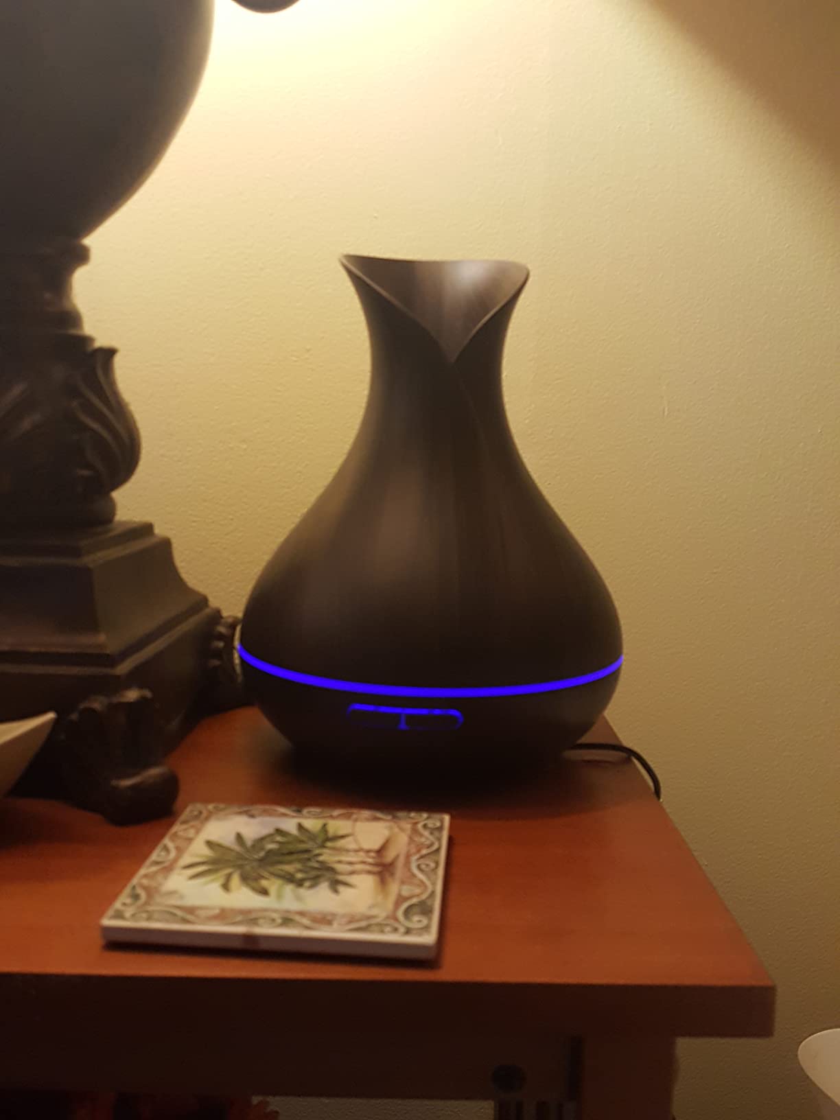 Sierra Modern Home Smart WiFi Humidifier - Aromatherapy Essential Oil Diffusers with App Control & Voice Control - Works with Alexa & Google Home - 400ml Ultrasonic Diffuser customer photo 1