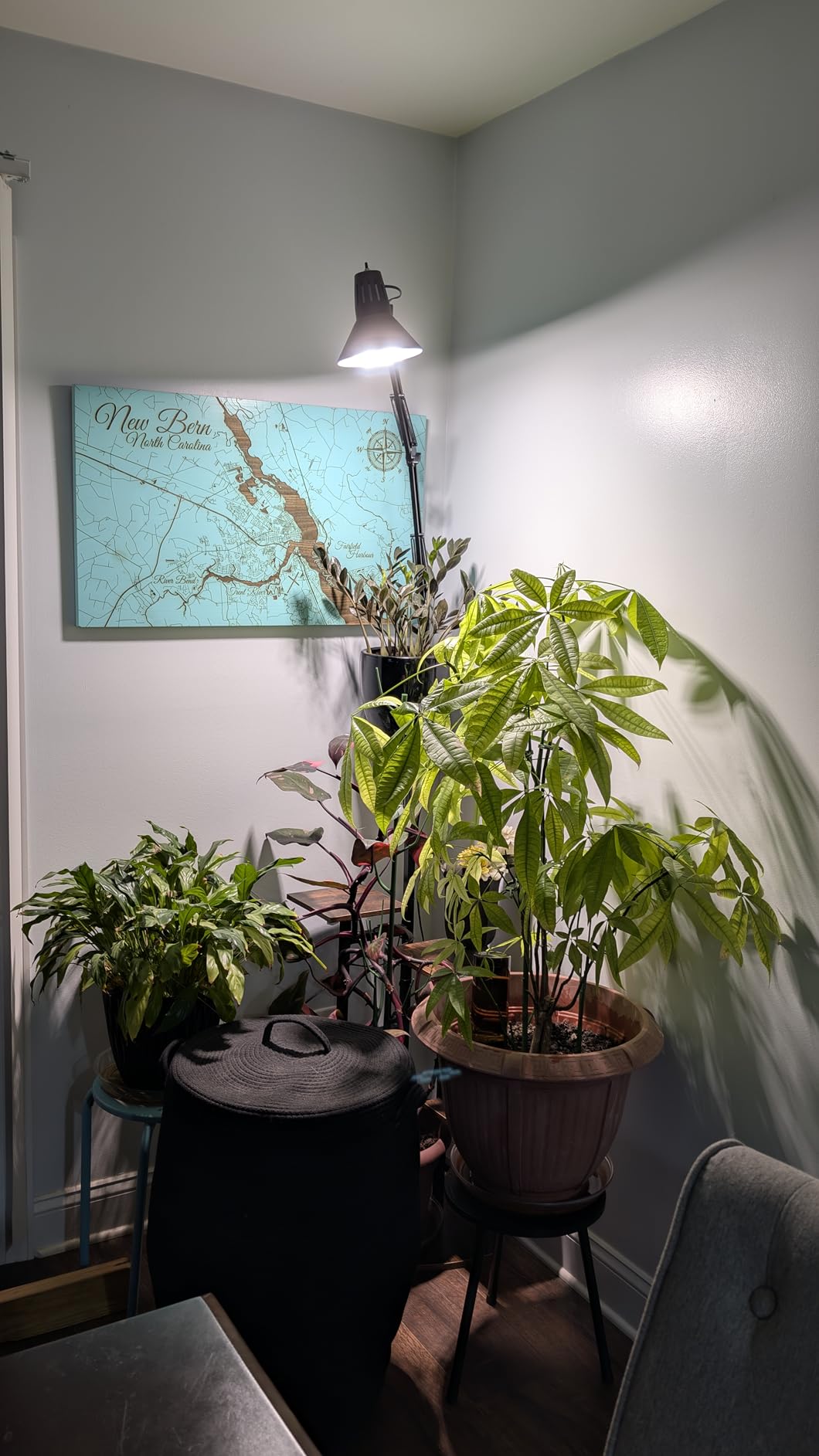 SANSI Grow Lights for Indoor Plants, Full Spectrum 36W Grow Light Bulbs (400 Watt Equiv) with Optical Lens for High PPFD, PPF 65.6 umol/s LED Energy Saving Plant Light for Indoor Growing Seed Starting customer photo 2