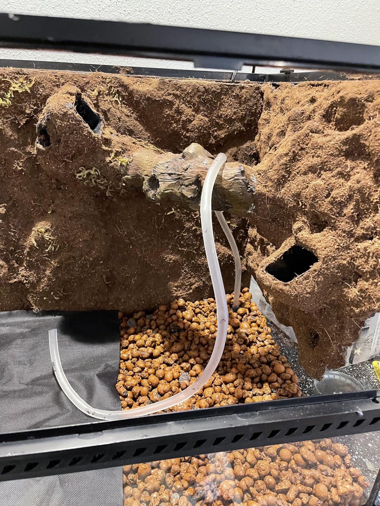 Josh's Frogs BioBedding Tropical Bioactive Substrate (10 quarts) customer photo 1