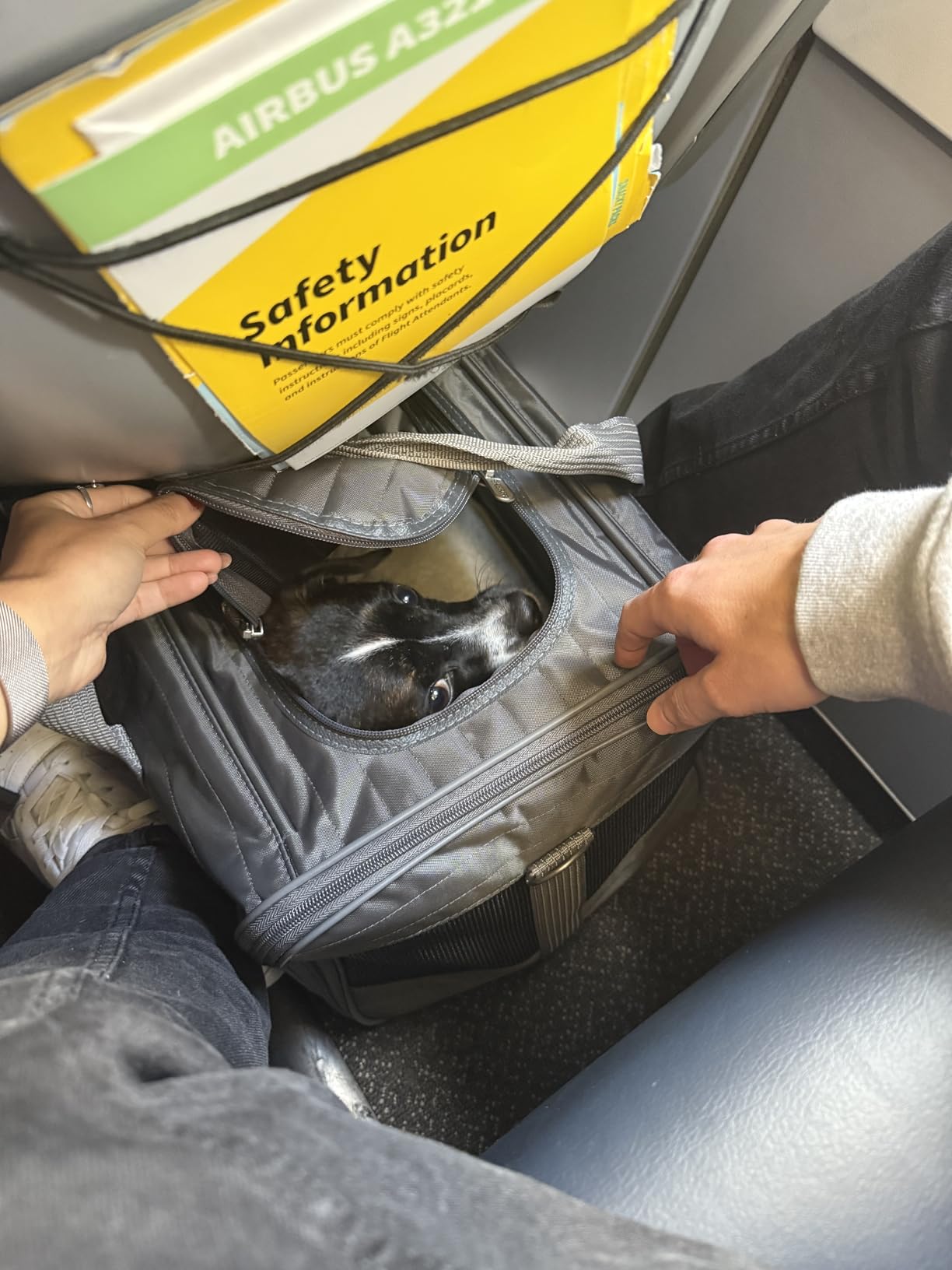 Sherpa Pet Carrier Airline Approved with Spring Wire Frame - Cat Carrier and Dog Carriers for Airline Travel and Vet Visits, Mesh Ventilation, Locking Zippers - Charcoal Grey, Large customer photo 1