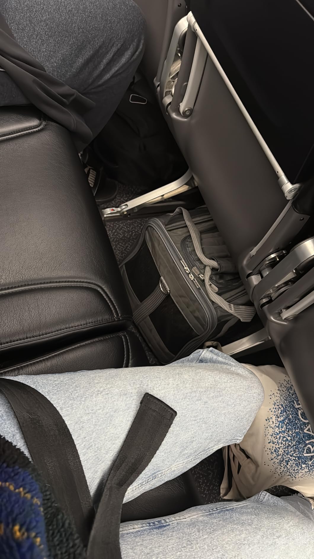 Sherpa Pet Carrier Airline Approved with Spring Wire Frame - Cat Carrier and Dog Carriers for Airline Travel and Vet Visits, Mesh Ventilation, Locking Zippers - Charcoal Grey, Large customer photo 2