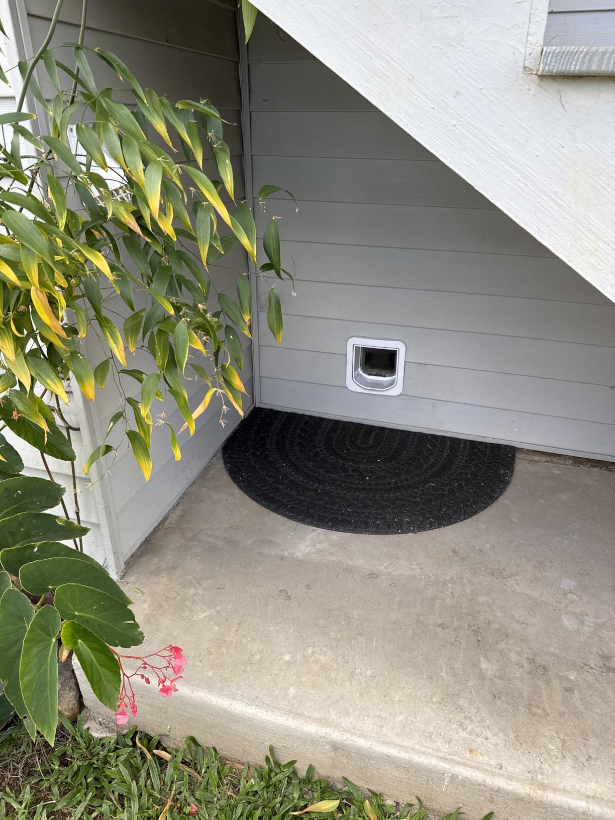 SureFlap Microchip Cat Door Connect with Hub Bundle - WiFi Connected - Door Opening: 5 5/8