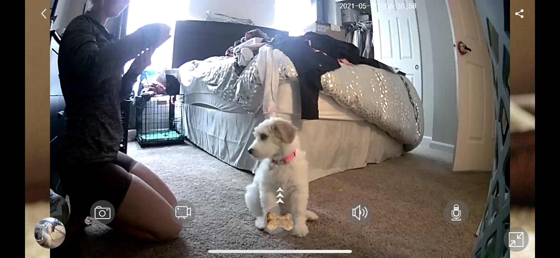 Petalk AI Dog Camera Treat Dispenser, WiFi Full HD Pet Camera with Two-Way Audio and Night Vision, Compatible with Alexa customer photo 2