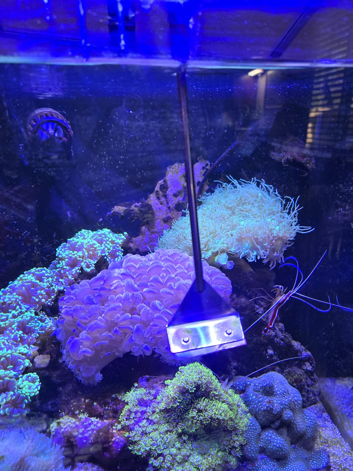 HOTOOLME Aquarium Scraper, 25.6