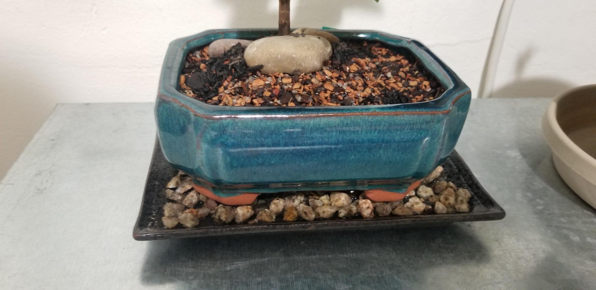 Yubonzai Rectangular Ceramic Humidity/Drip Tray for Bonsai Tree and House Indoor Plants Outside Dimension 7.75