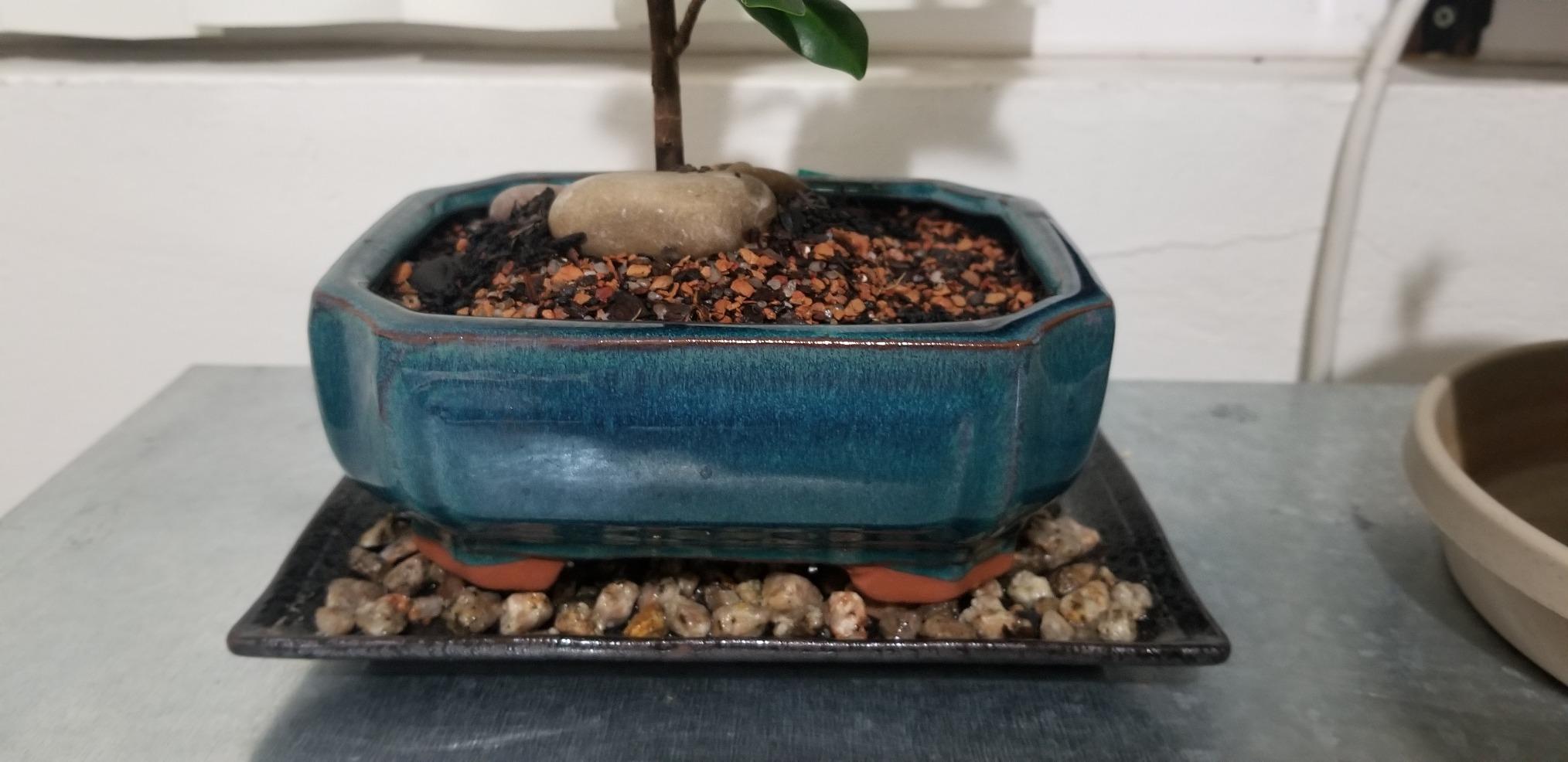 Yubonzai Rectangular Ceramic Humidity/Drip Tray for Bonsai Tree and House Indoor Plants Outside Dimension 7.75