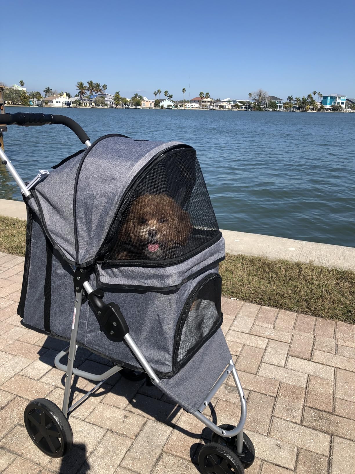 Magshion 3-Wheel Pet Stroller, Foldable Travel Jogger for Small & Medium Dogs & Cats (Up to 33lbs), Lightweight Carrier with Breathable Mesh Cover, Cup Holder & Storage Basket, Pink customer photo 2