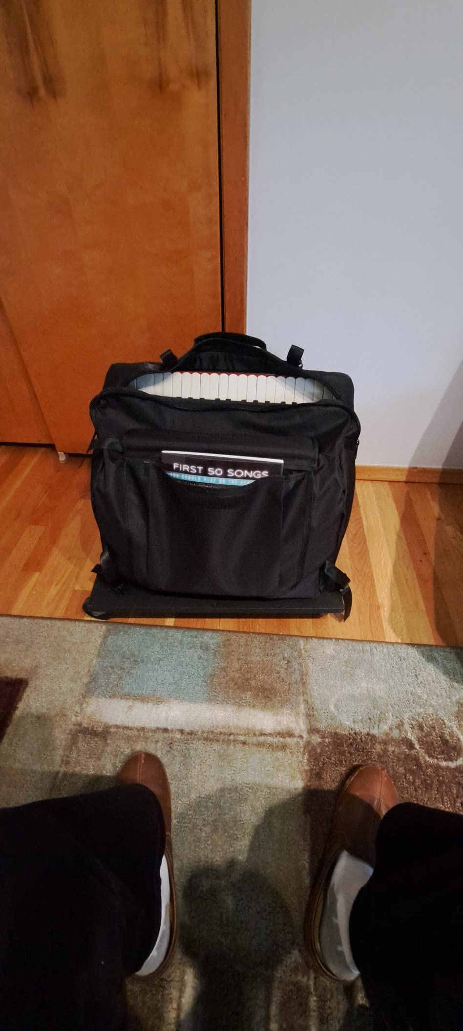 Baosity Thick Padded Bass Piano Accordion bag Accordion Case Backpack, 60 Bass customer photo 2