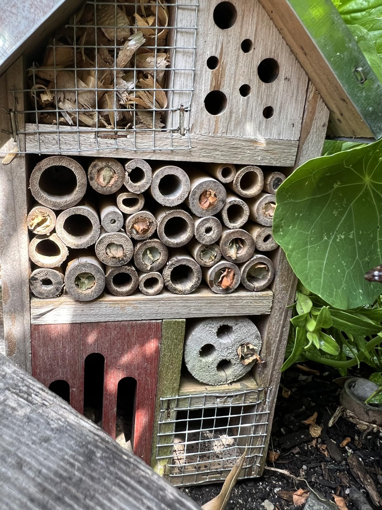 Niteangel Natural Wooden Insect Hotel, Garden Insect House for Ladybugs, lacewings, Butterfly, Bee, Bug customer photo 1