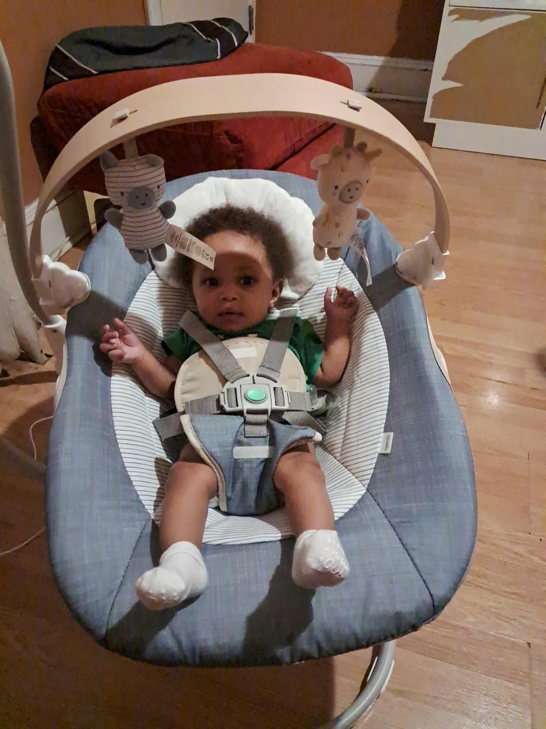 Ingenuity SimpleComfort Lightweight Compact 6-Speed Multi-Direction Baby Swing, Vibrations & Nature Sounds, 0-9 Months 6-20 lbs (Pink Cassidy) customer photo 2
