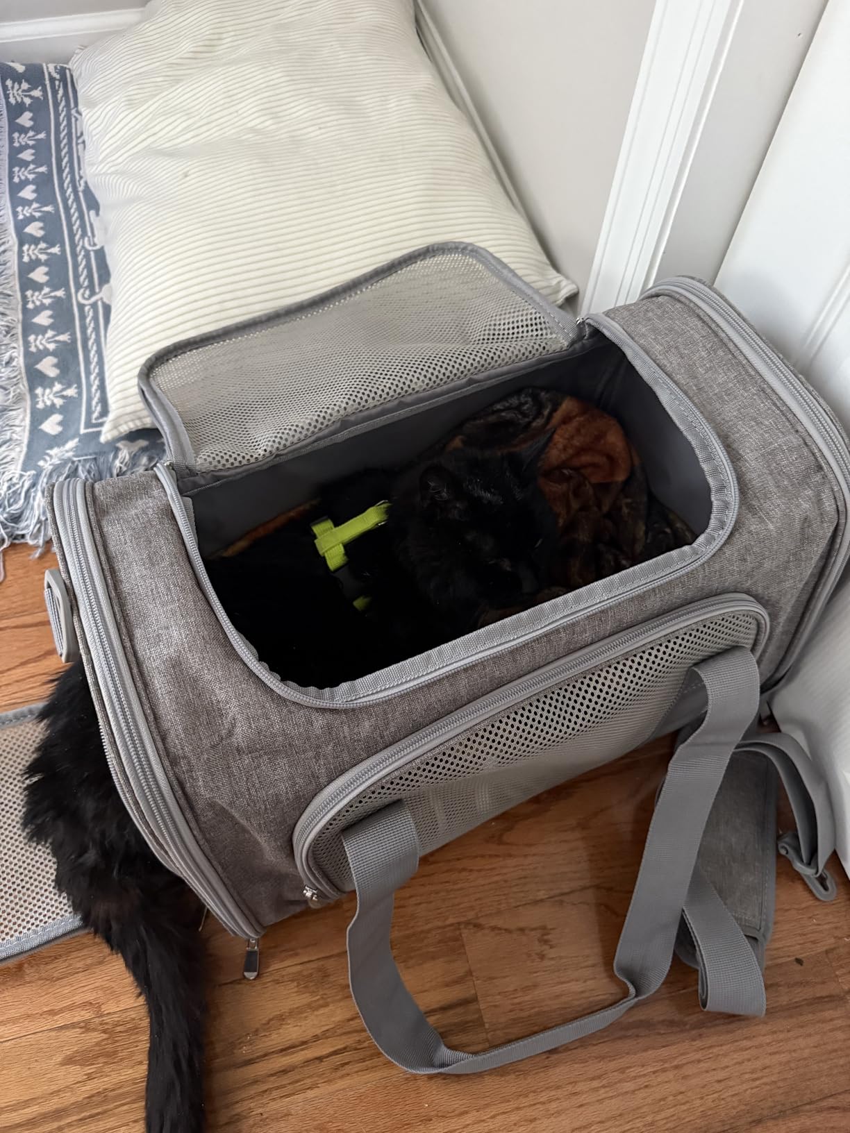 Henkelion Cat Carriers Dog Carrier Pet Carrier For Small / Medium Cats Dogs Puppies (Up To 15lbs), TSA Airline Approved Small Dog Carrier Soft Sided, Collapsible Waterproof Travel Puppy Carrier - Grey customer photo 1