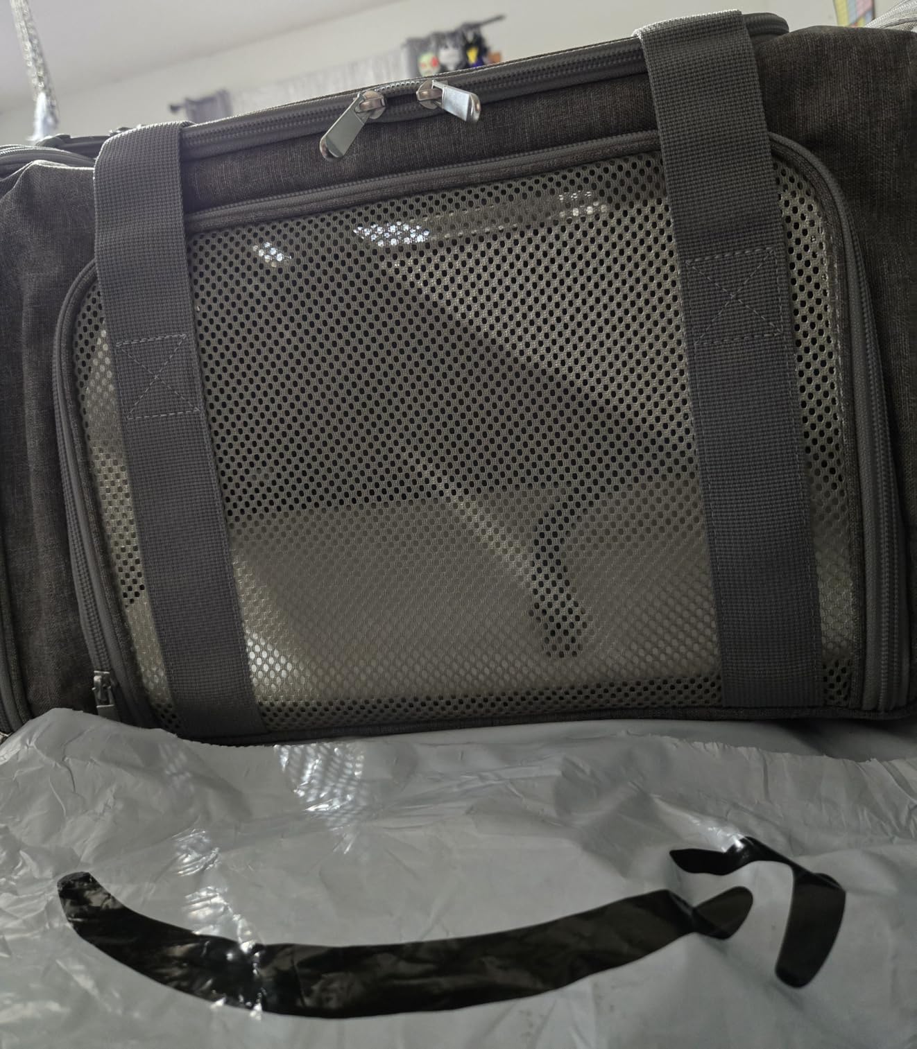 Henkelion Cat Carriers Dog Carrier Pet Carrier For Small / Medium Cats Dogs Puppies (Up To 15lbs), TSA Airline Approved Small Dog Carrier Soft Sided, Collapsible Waterproof Travel Puppy Carrier - Grey customer photo 2