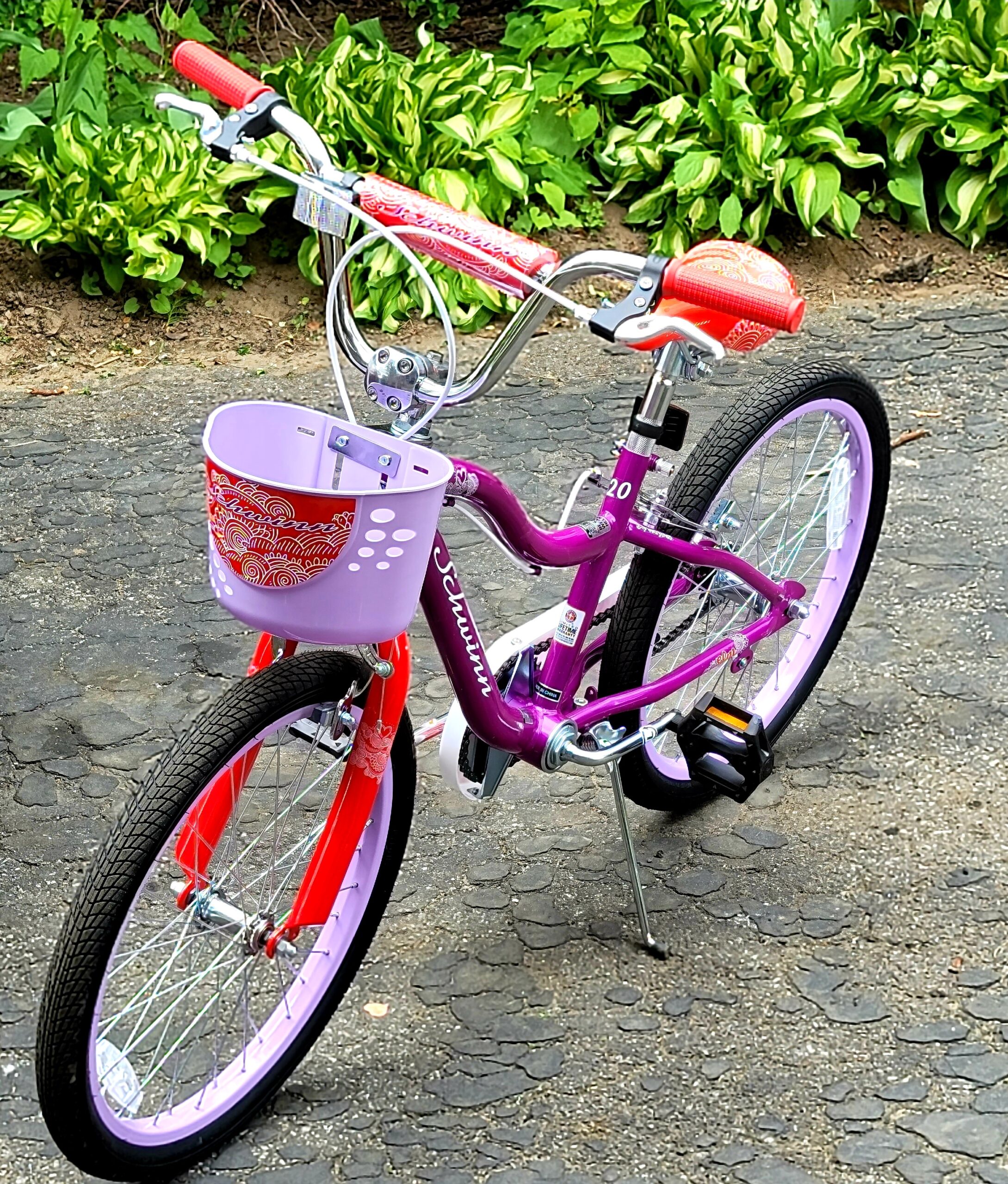Schwinn Koen Bike, 20 Inch Bike for Kids Ages 7-13, SmartStart Ergonomic Design for Kids, Adjustable Seat Grows with Your Child, Rear Coaster Brake & Front and Rear Hand Brakes, Training Bicycle customer photo 2