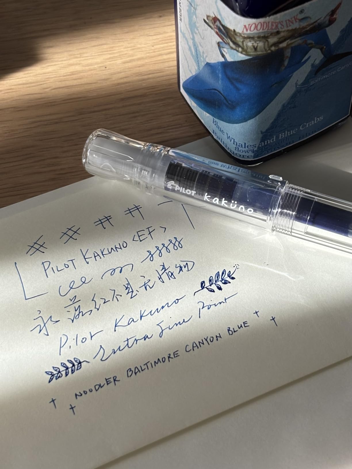 Pilot Kakuno Fountain Pen, Clear Barrel, Medium Nib customer photo 2