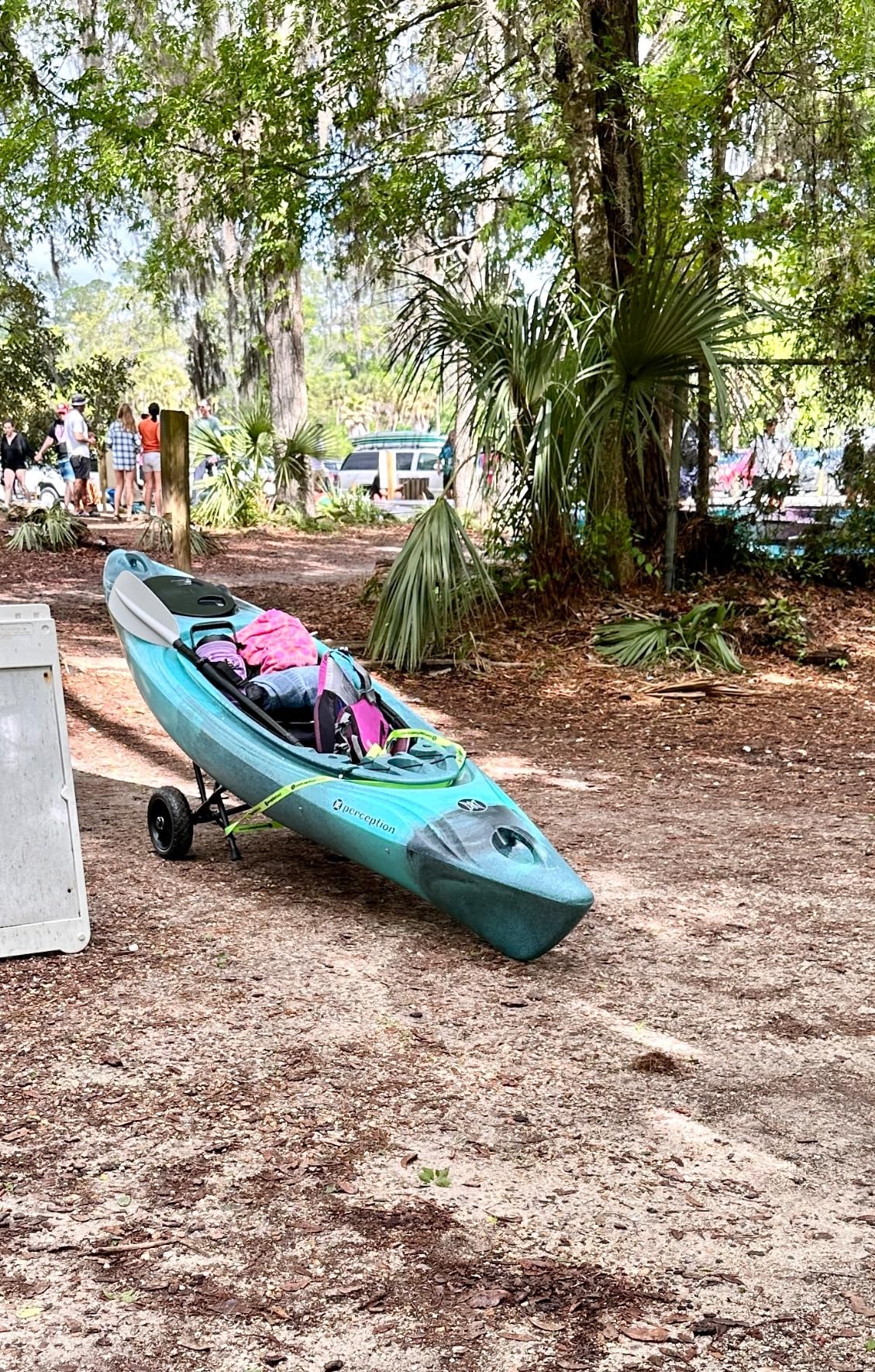 Perception Joyride 10 - Sit Inside Kayak for Adults and Kids - Recreational and Multi-Water Kayak with Selfie Slot - 10' customer photo 2