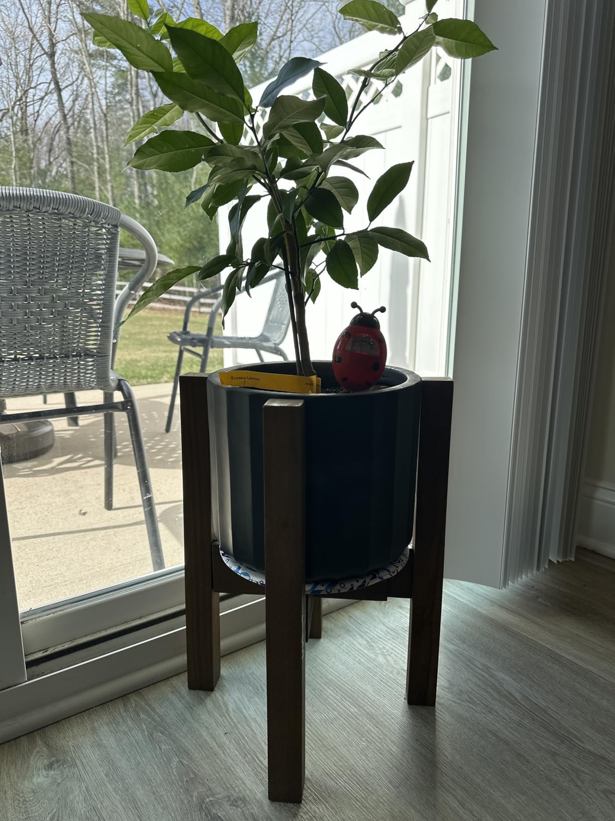 Sophia Mills Mid Century Plant Stand - Solid Wood Item Stand Handmade with Acacia - Fits Medium & Large Pots Sizes 8 to 12 inches (Not Included) (Adjustable Width: 8-12 inches, Dark Brown) customer photo 1