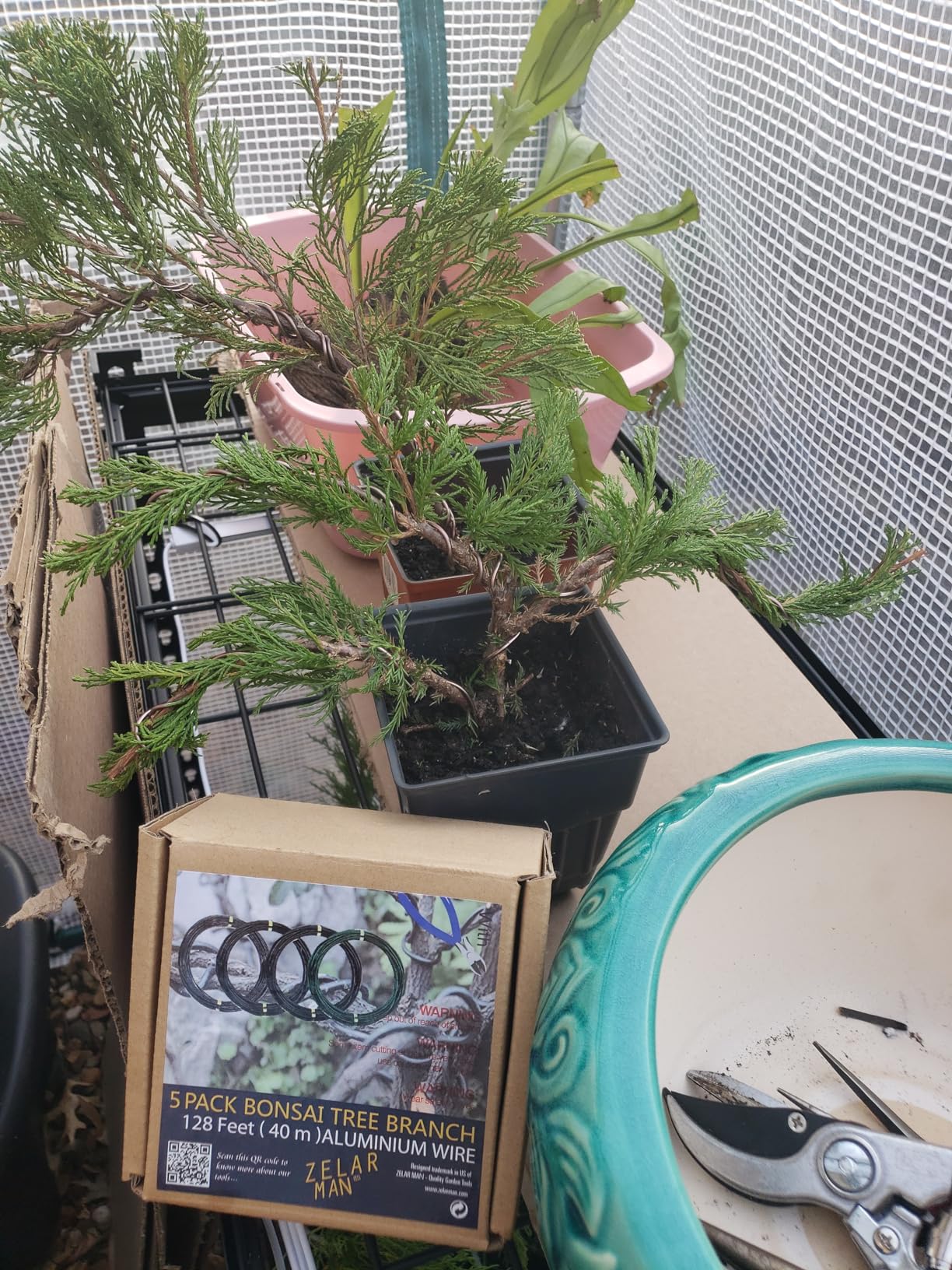 Bonsai Training Wire Set of 4, Total 128 Feet (32 Feet Each Size) 3 Size - 1.0MM, 1.5MM, 2.0MM, Corrosion and Rust Resistant (with Bonsai Wire Cutter) customer photo 1