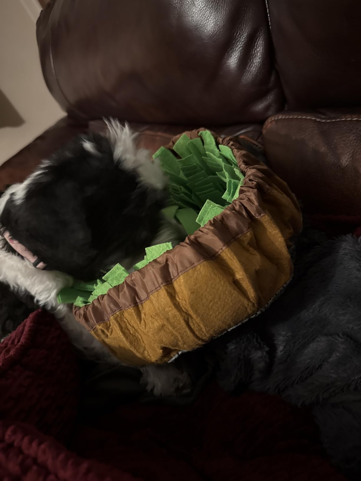 AWOOF Pet Snuffle Mat for Dogs, Interactive Feed Game for Boredom, Encourages Natural Foraging Skills customer photo 1