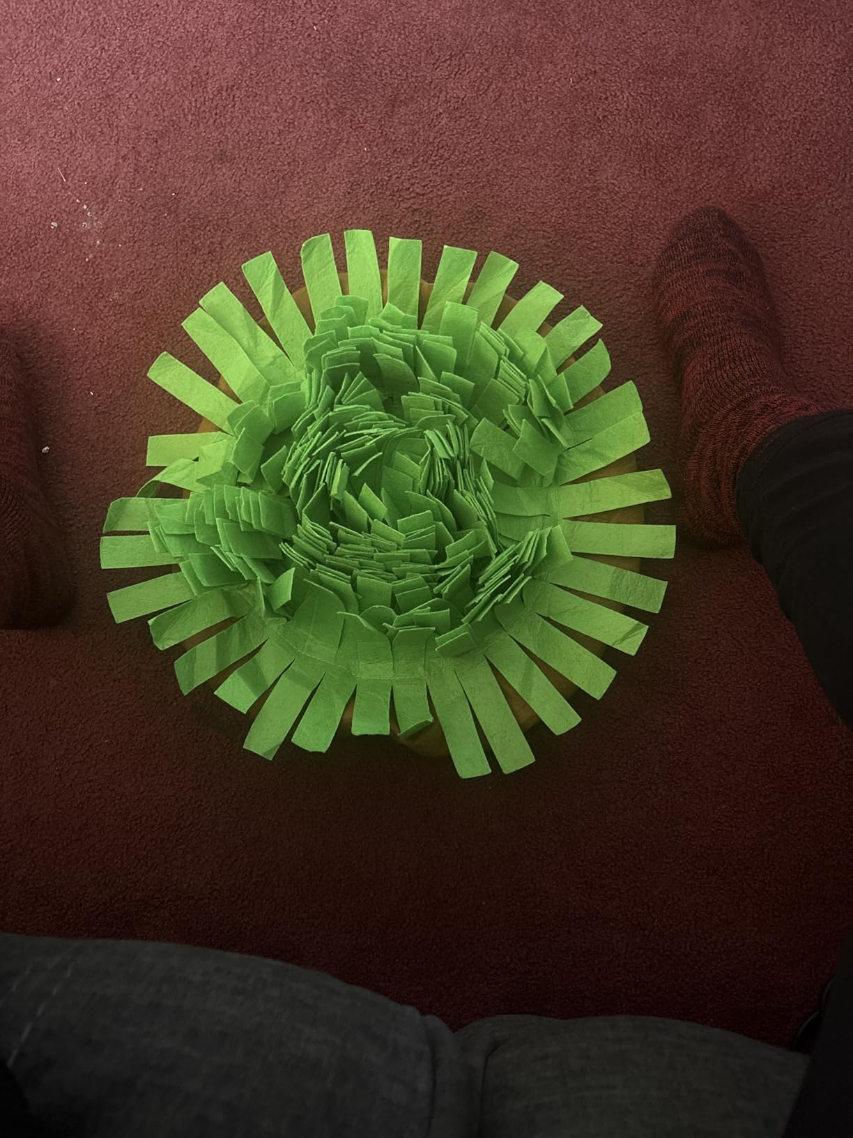AWOOF Pet Snuffle Mat for Dogs, Interactive Feed Game for Boredom, Encourages Natural Foraging Skills customer photo 2