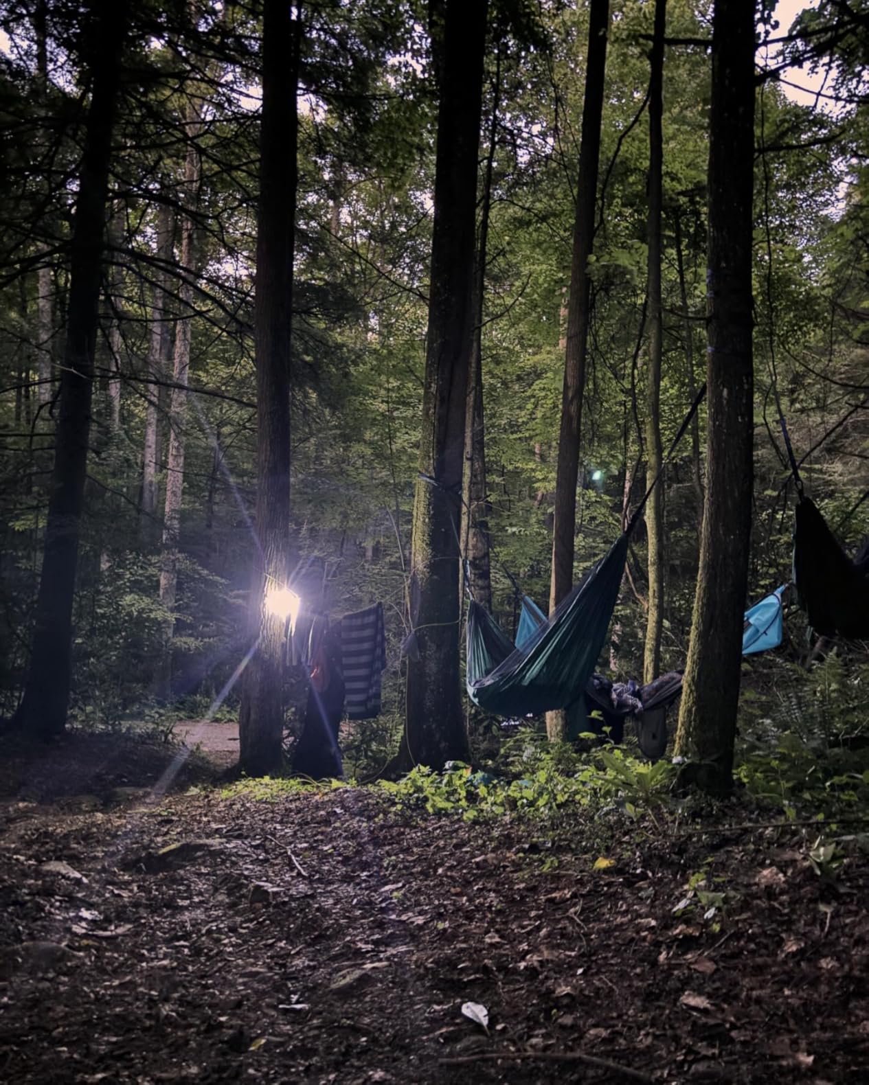 Covacure Camping Hammock - 772lbs Capacity Double Hammock with Tree Straps, Lightweight Parachute Nylon Outdoor Survival Gear for Hiking, Backpacking, Travel or Backyard (Black) customer photo 2