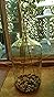 Esschert Design GT163 Telescoping Terrarium Rake and Trowel Tool Set, Stainless-Steel customer photo 1
