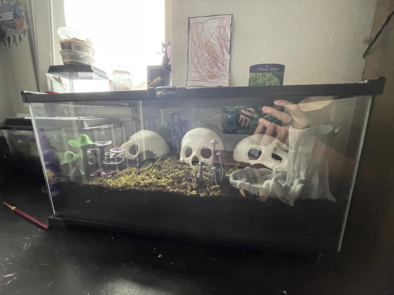 REPTI ZOO 10 Gallon Reptile Tank Glass Natural Cages Terrarium 20