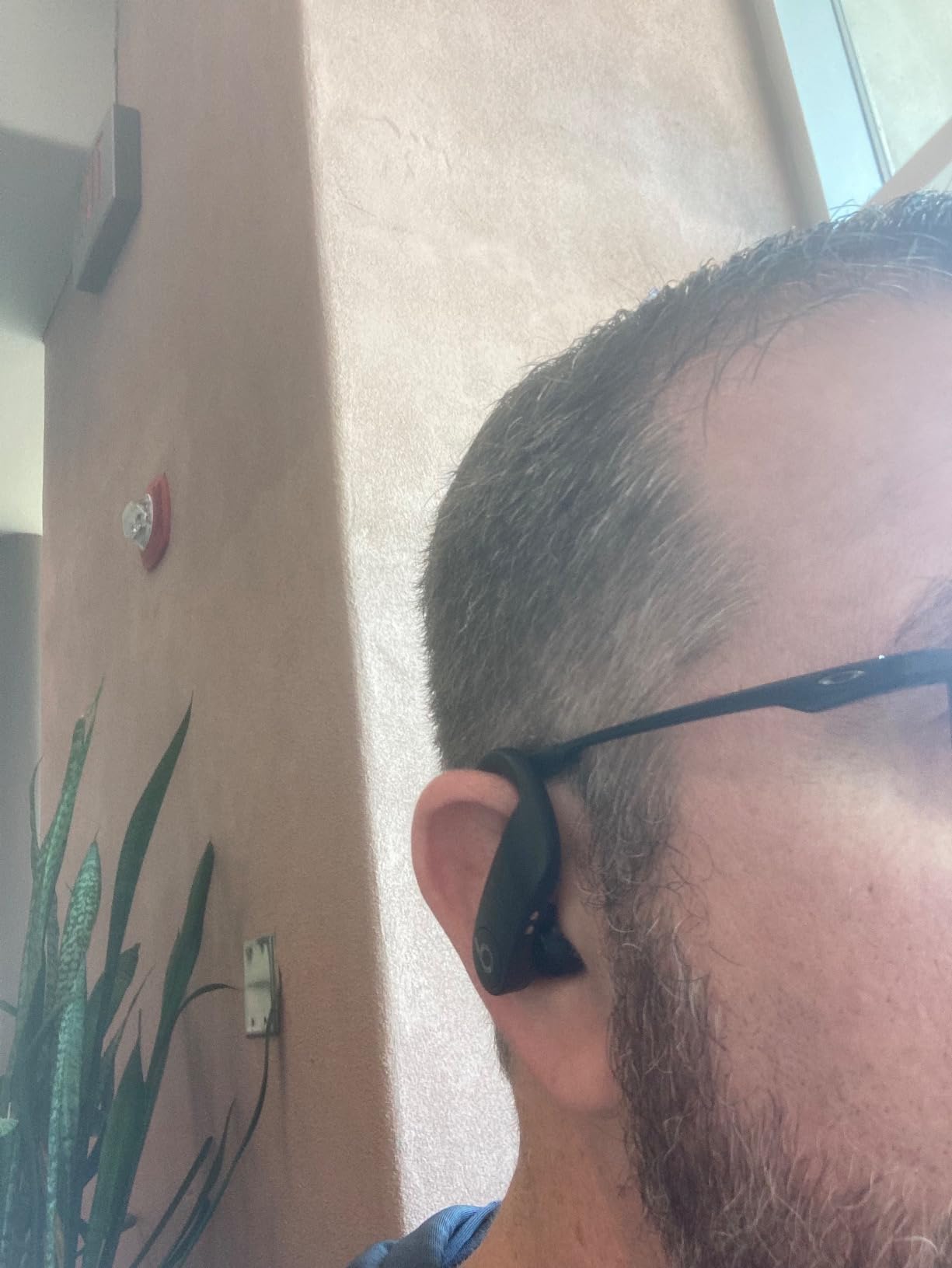 Powerbeats Pro Wireless Earbuds - Apple H1 Headphone Chip, Class 1 Bluetooth Headphones, 9 Hours of Listening Time, Sweat Resistant, Built-in Microphone - Black customer photo 2
