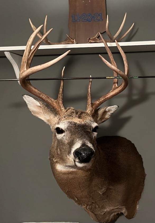 New Archery Products Spitfire MAXX 100 Grain Broadhead 4PK customer photo 1