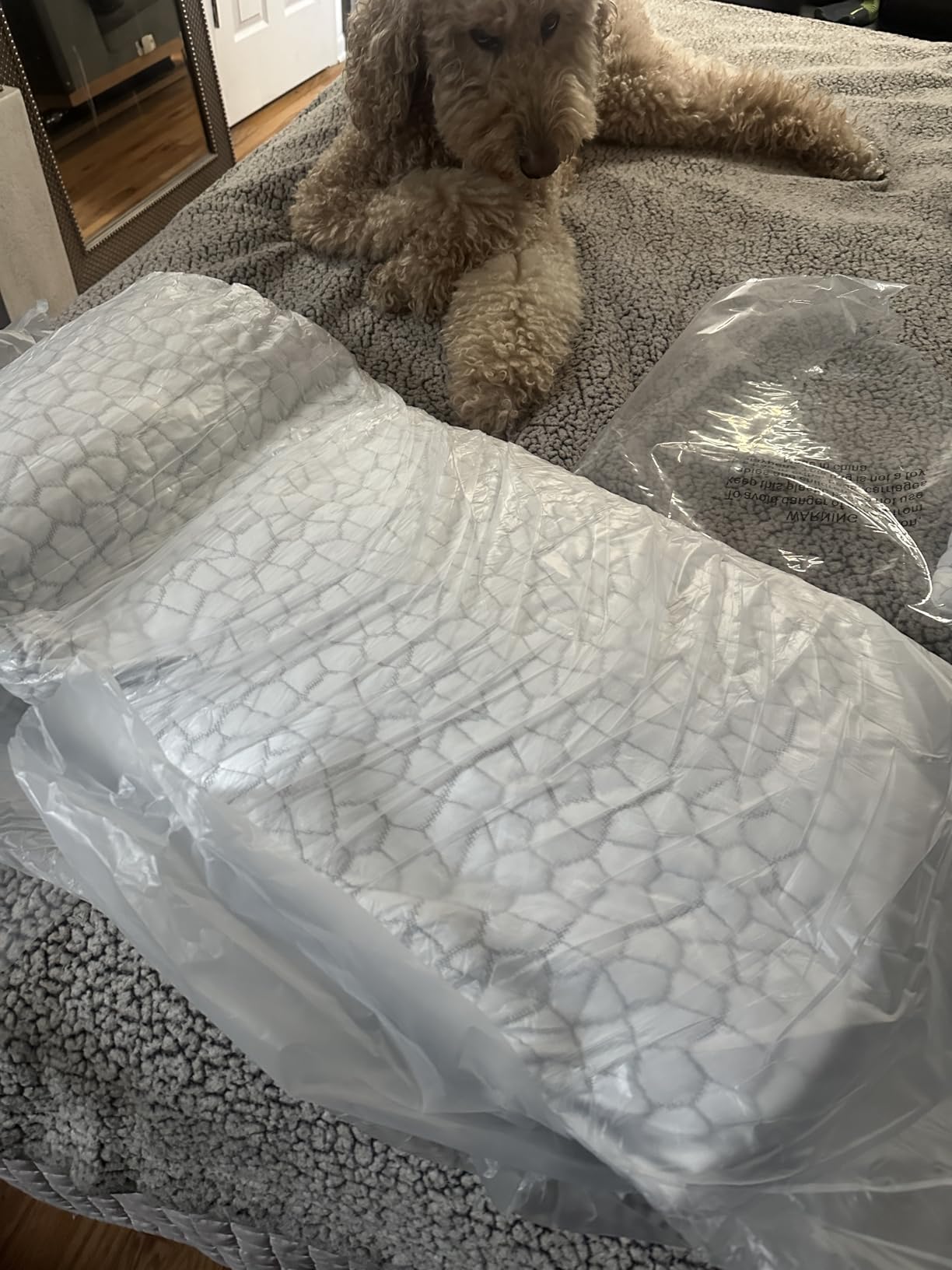 QUTOOL Cooling Pillow for Sleeping, CertiPUR-US Shredded Memory Foam Queen Pillows Set of 2, Cool Pillow for Hot Sleepers Adjustable Firm Pillow for Side, Back, Stomach Sleepers Soft Yet Support,White customer photo 2