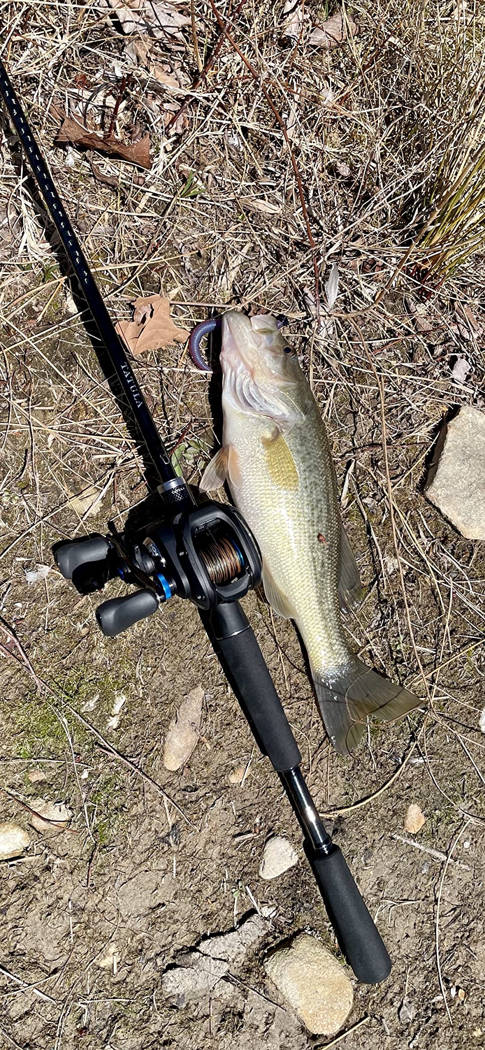 SHIMANO SLX DC Digital Control Baitcast Fishing Reel customer photo 1