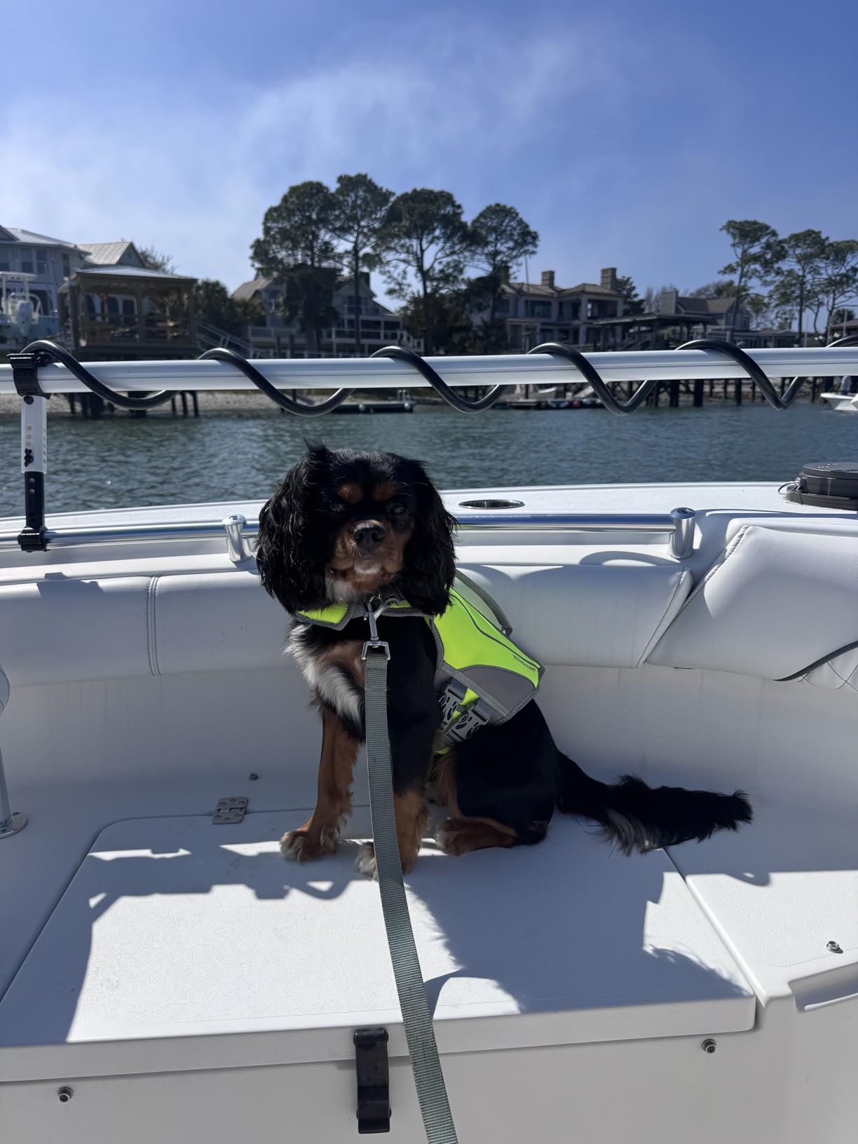 VIVAGLORY Neoprene Dog Life Vest, Dog Life Jacket for Swimming customer photo 1