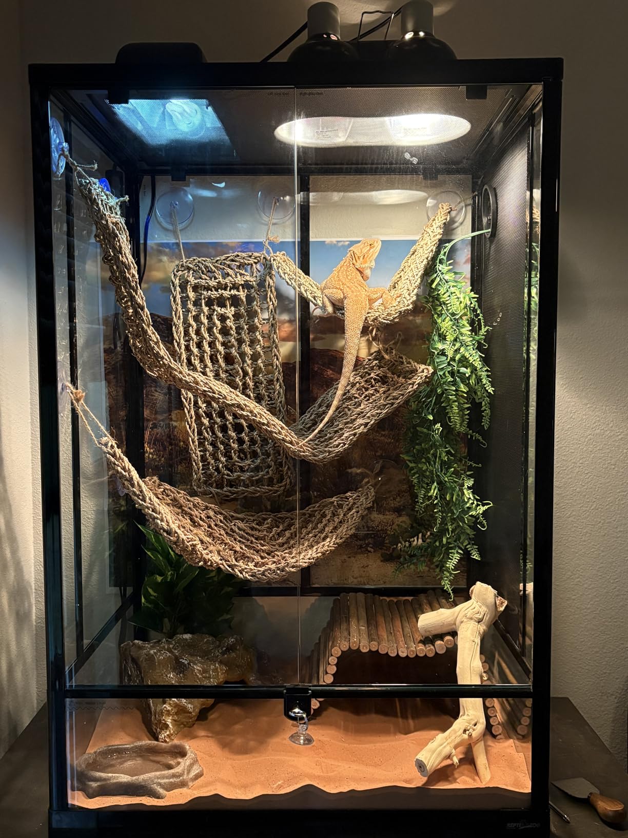 REPTI ZOO 24