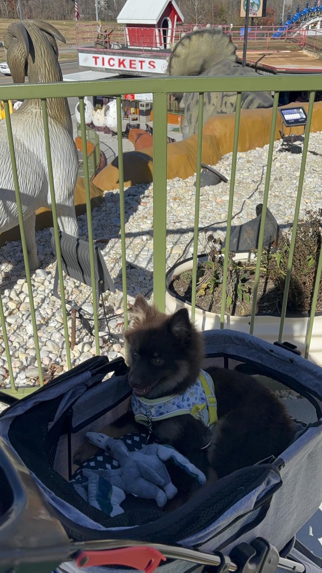 4 Wheels Pet Stroller Dog Cat Stroller for Small Medium Dog Cats Foldable Carrier Jogger Travel Puppy with Storage Basket and Cup Holder (Black) customer photo 1