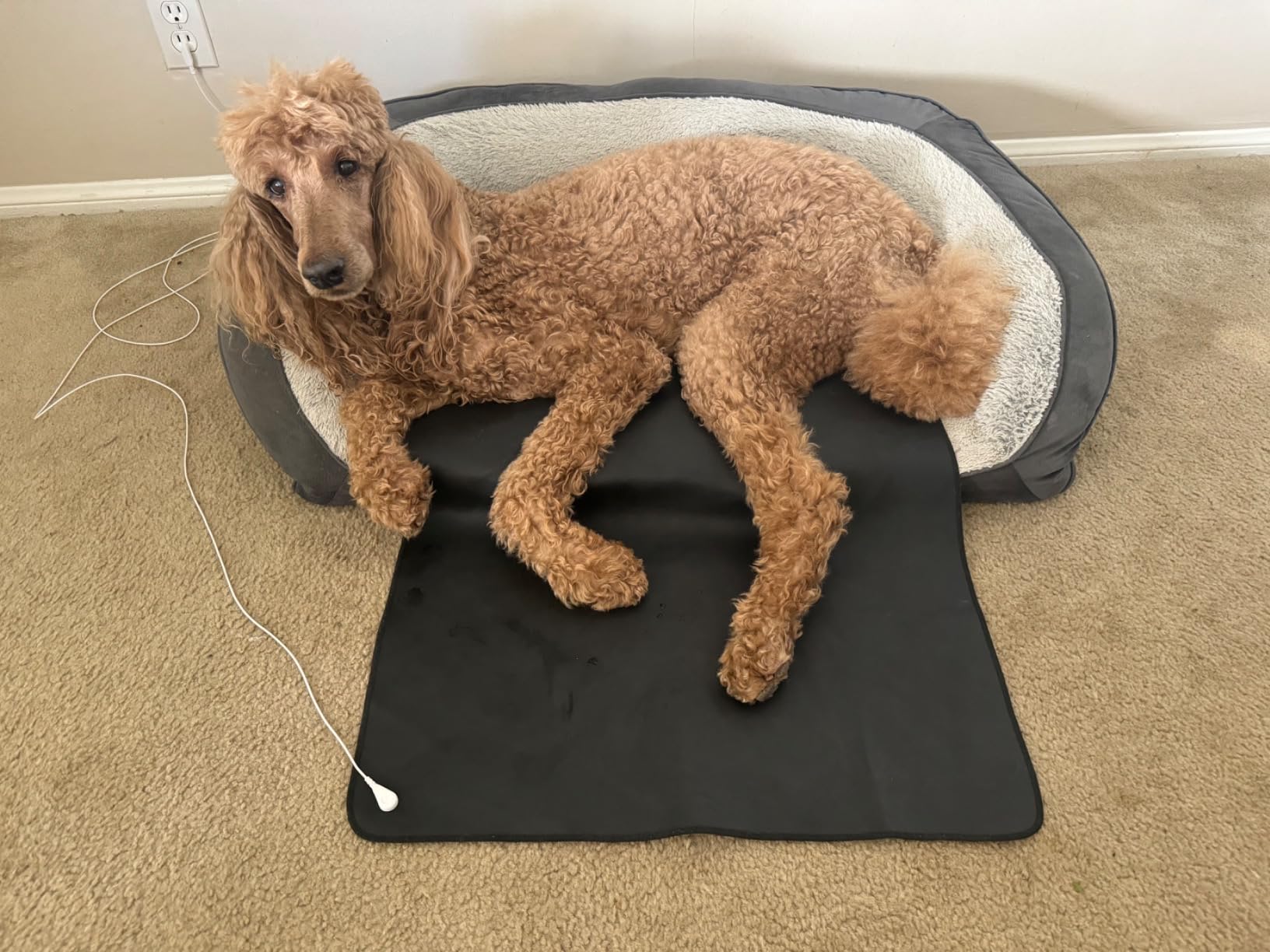 Grounding Mat, 35.4x23.6 inches, Reconnect to The Earth EMF Recovery, for Foot Therapy, Universal Grounding Sleep Mat, Grounding Yoga Mat, Improve Energy, Sleep Assist and Helps with Anxiety Black customer photo 1