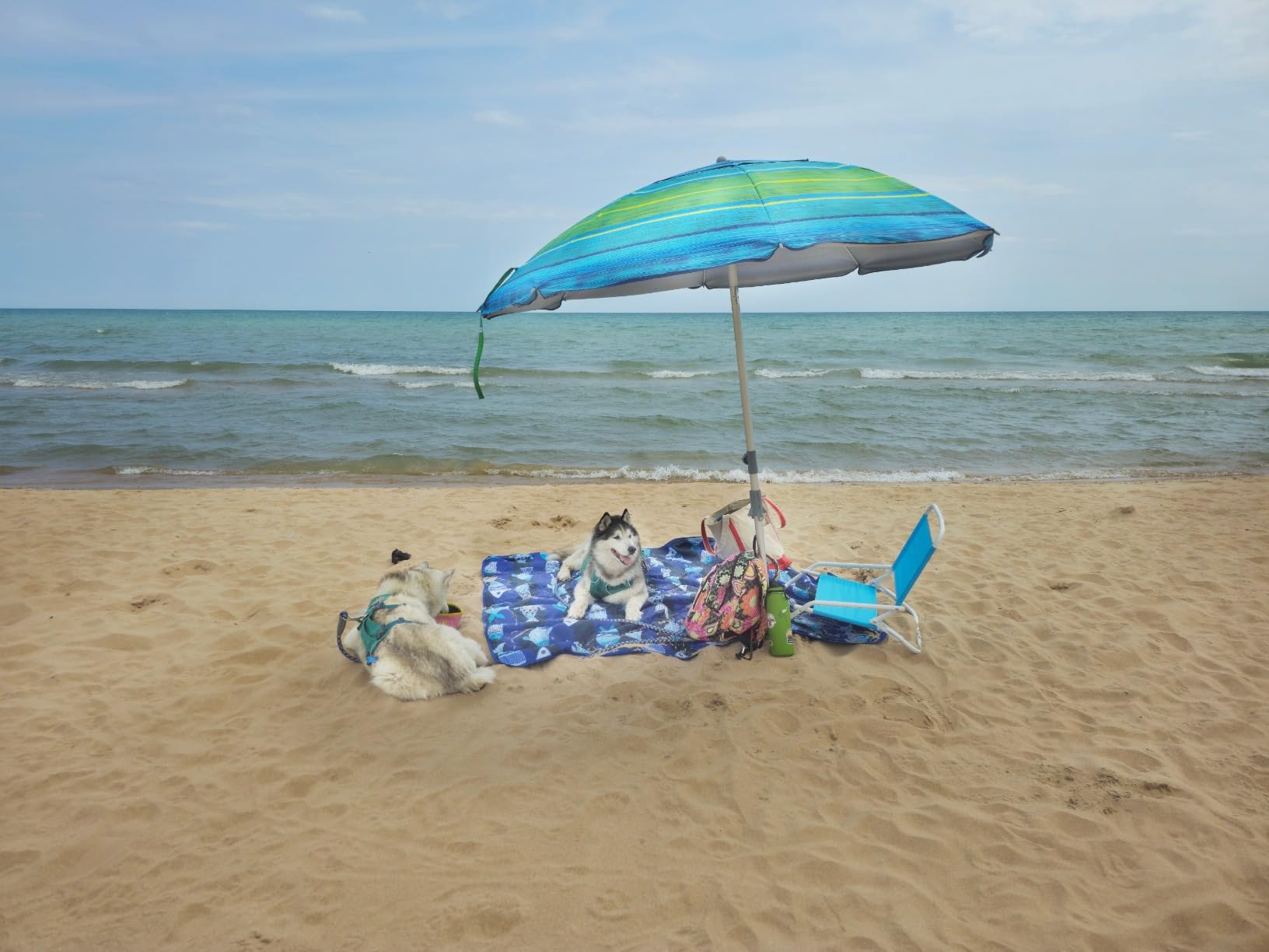 Blissun 7.2' Beach Umbrella with Sand Anchor, Outdoor Portable Beach Umbrella for Sand with Tilt Pole, Carry Bag, Air Vent customer photo 2