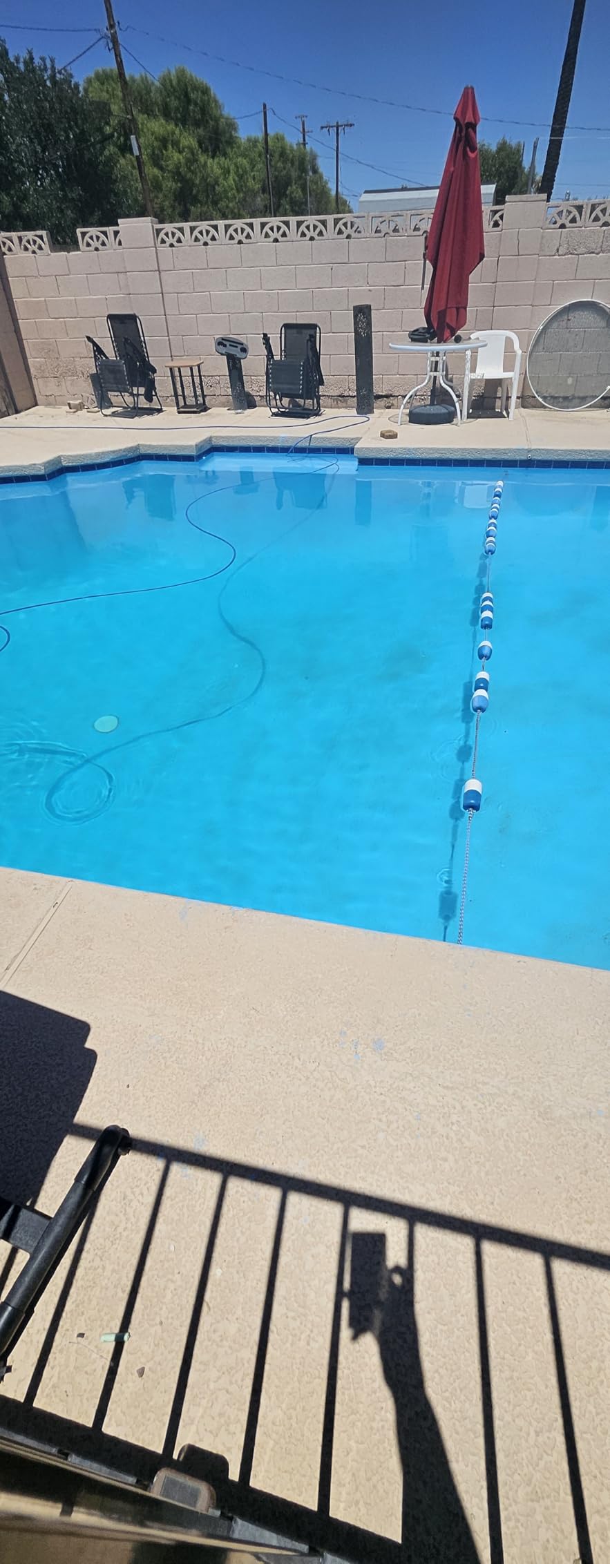 Dolphin Nautilus CC Supreme Wi-Fi Automatic Robotic Pool Vacuum Cleaner, Dual Drive, Waterline Scrubber Brush, Top Load Filter, Ideal for In-Ground Pools up to 50 FT customer photo 2