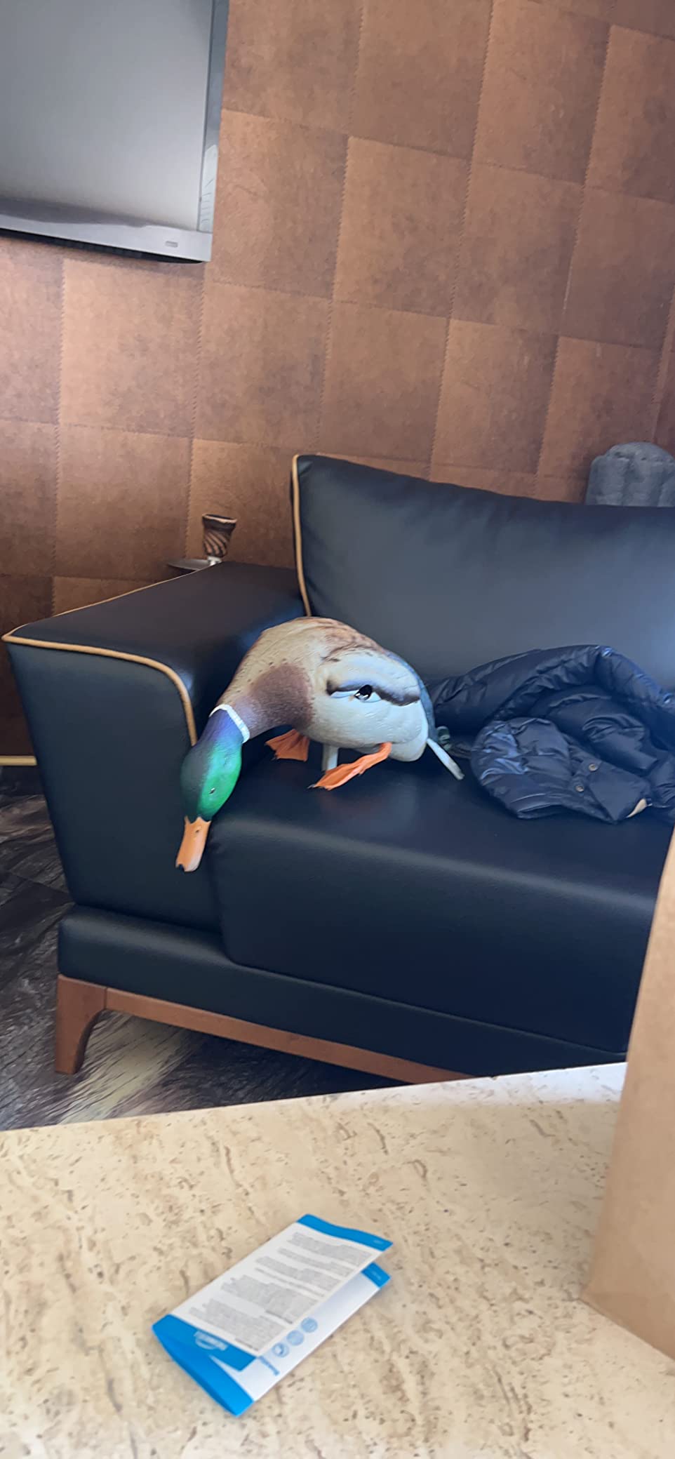 Avian-X Powerflight Smart Motion Mallard Spinning Wing Duck Decoy customer photo 1