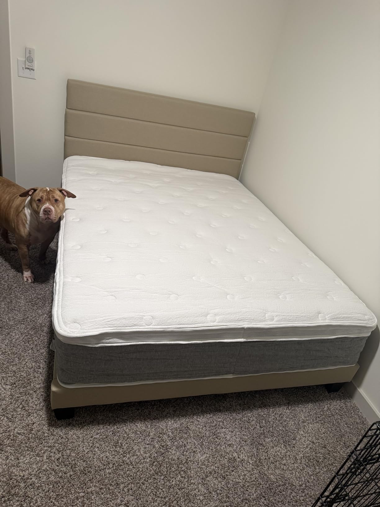 Allewie Queen Size Platform Bed Frame with Fabric Upholstered Headboard and Wooden Slats Support, Fully Upholstered Mattress Foundation, No Box Spring Needed, Easy Assembly, Dark Grey customer photo 1