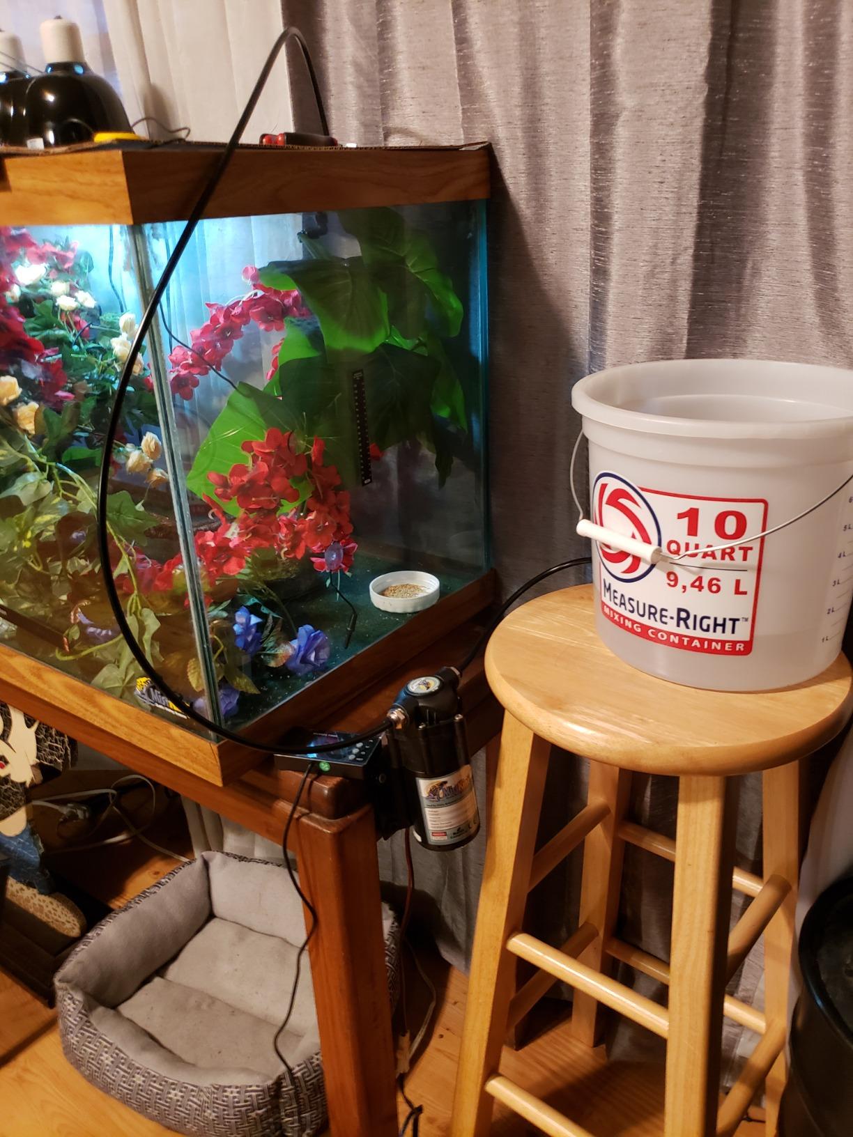 MistKing - Starter Misting System, 5th Gen | Used by Zoos, Botanical Gardens, Institutions & Hobbyists | Expandable to 10 Nozzles | Extremely Fine Mist | 50 Micron Droplets | MKSMS5-125-50 customer photo 1