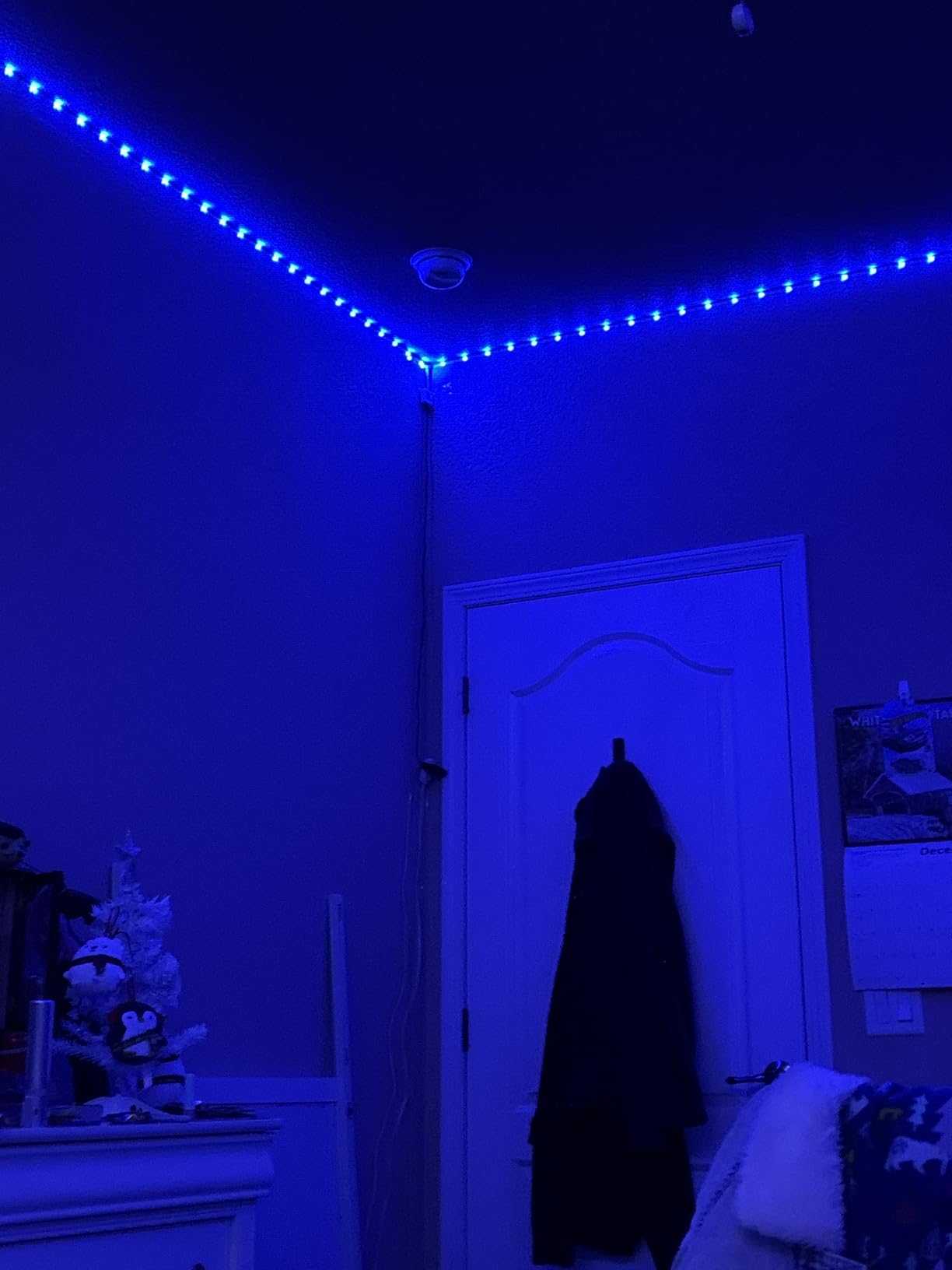 AILBTON Led Strip Lights, 60ft Music Sync Color Changing, Built-in Mic, Bluetooth App Control LED Tape Lights with Remote, 5050 RGB Rope Light Strips customer photo 2